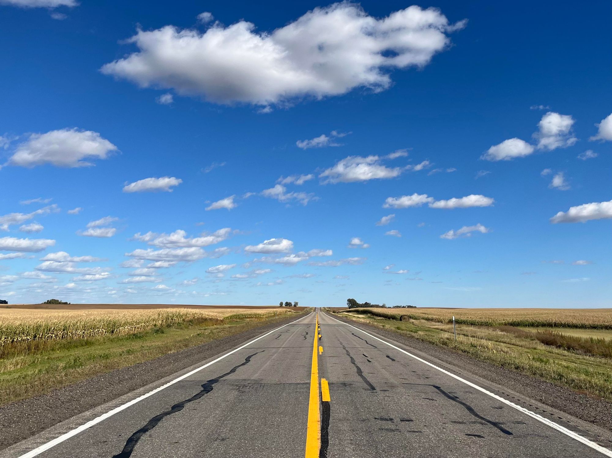 A very straight road going to the horizon in the center of the photo below an electric-blue sky filled with small evenly-spaced fluffy white clouds.