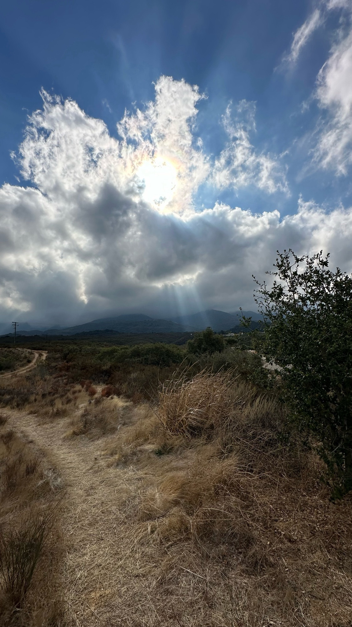 An ultra wide high definition capture of “God Rays” poking through some distance rain clouds in the mountains. Dead brush, a green bush and dirt roads appear in the foreground.