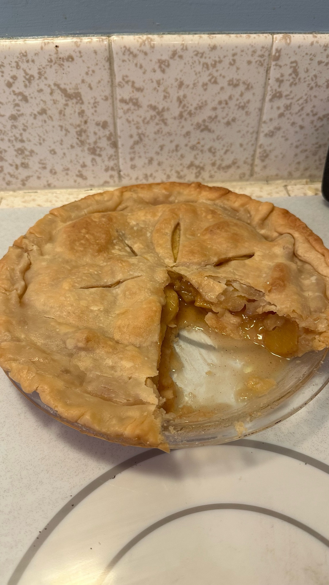 You see nothing missing from this apple pie that is obviously missing a large slice.