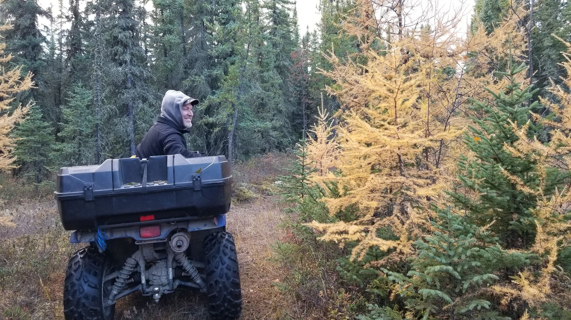 My husband looking at the tamaracks in the forest