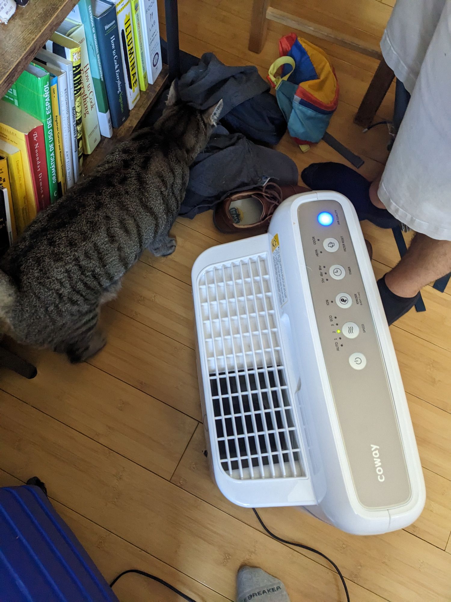 Top down view. Left half: A brown tabby cat sniffs a blue grey flannel. Right side: a chunky Coway air purifier and someone's feet