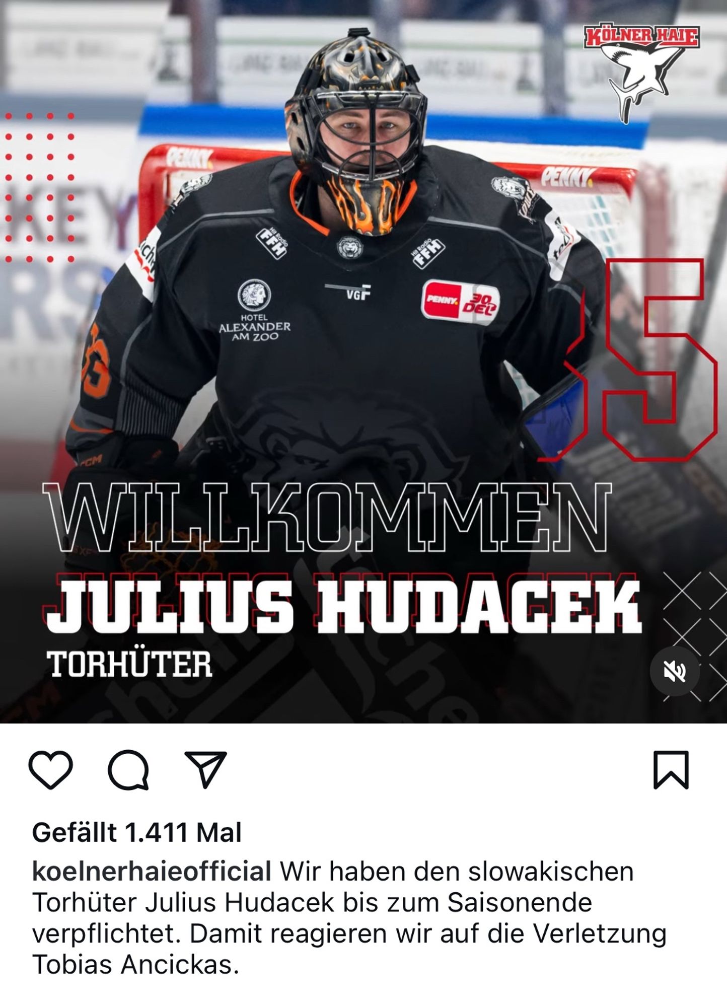 Instagram-Kachel der Kölner Haie zur brandaktuellen Nachverpflichtung des neuen Torhüters Julius Hudacek.