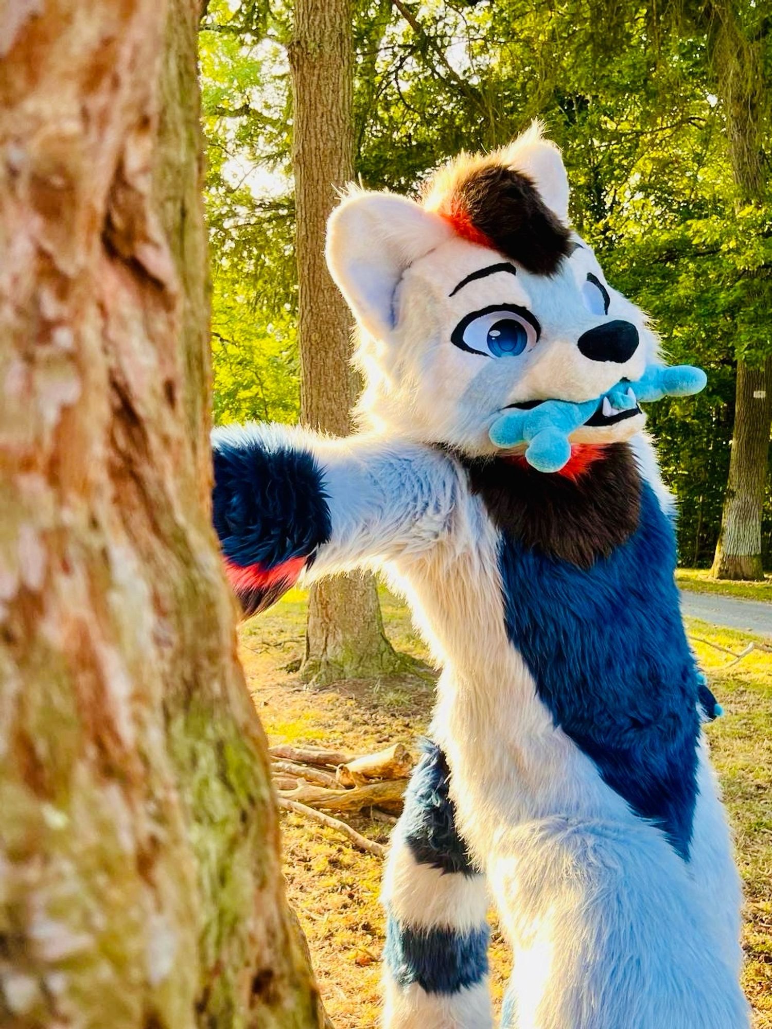 A blue panda fursuiter leaning against a tree, watching the horizon.