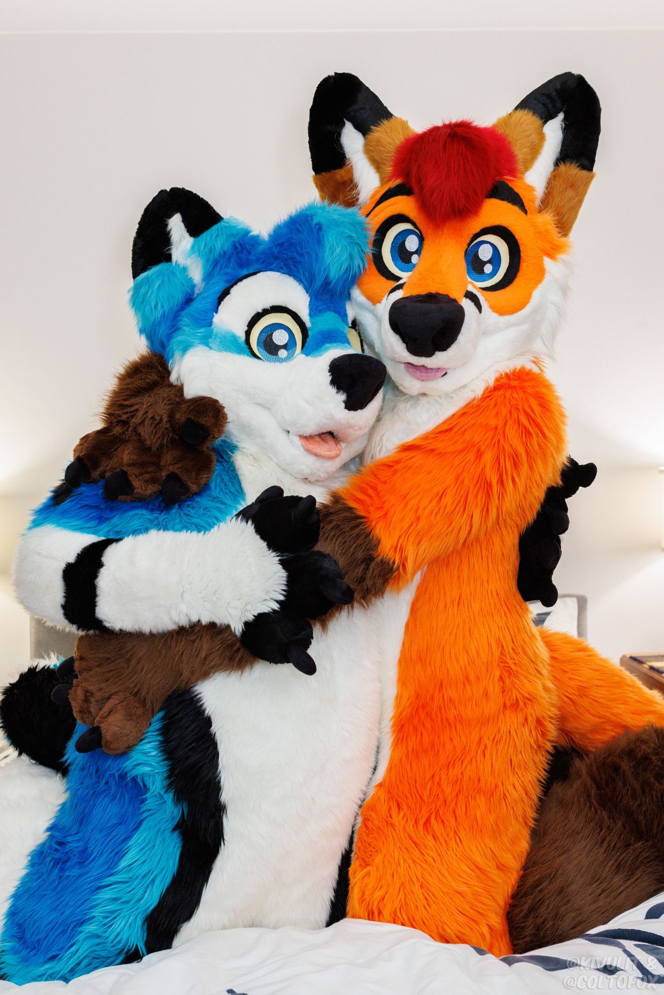 Kaynon (blue, black and white husky fursuiter) hugging Colto Fox (orange, white, brown and red fox fursuiter) on a bed.