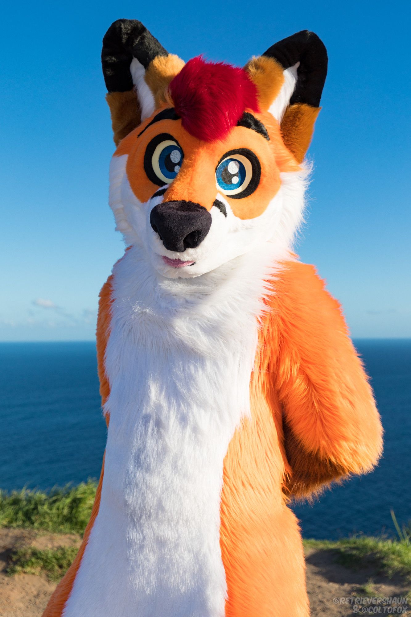 Colto Fox (orange, white, brown and red fox fursuiter) in full fursuit, standing politely with his hands behind his back on top of a cliff in front of an ocean over the horizon.