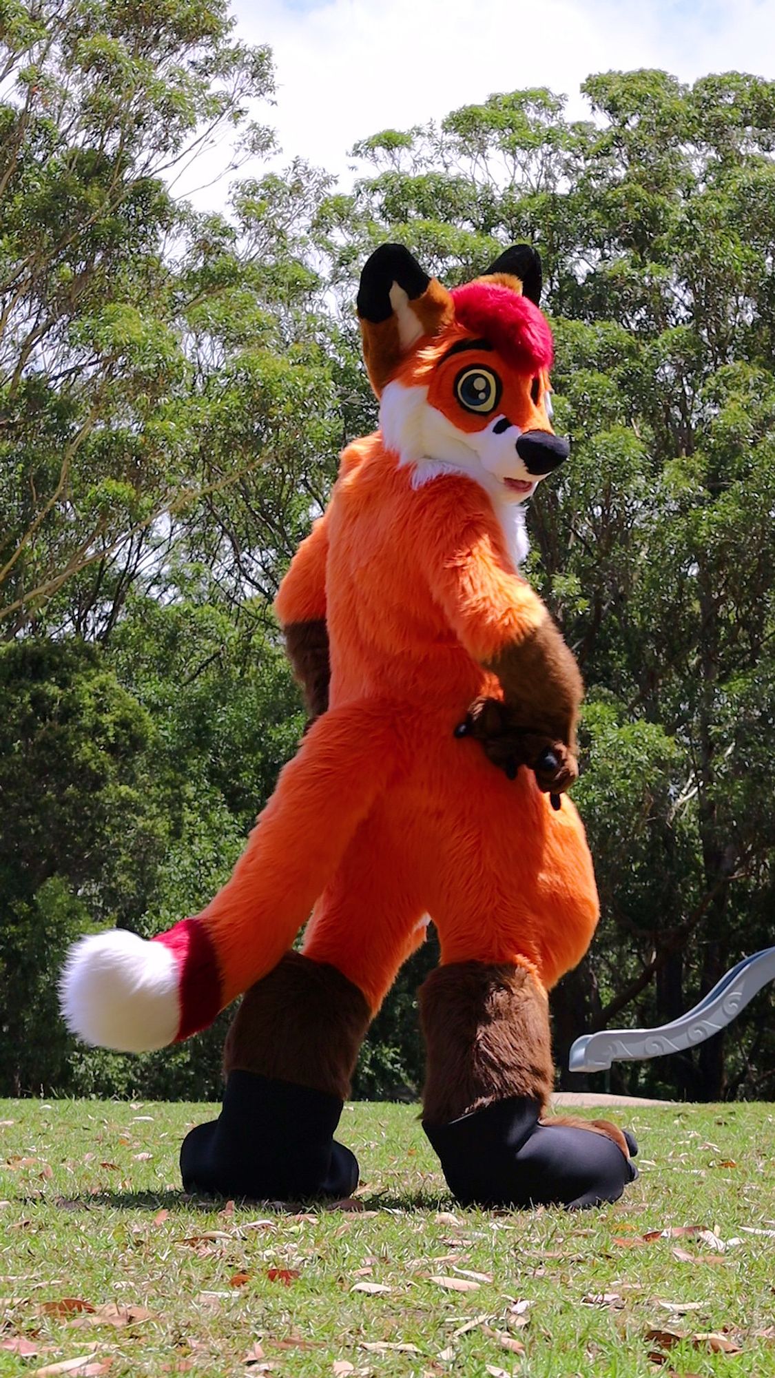 Colto Fox (orange, white, brown and red fox fursuiter) facing away and wagging his tail towards the camera in a park.