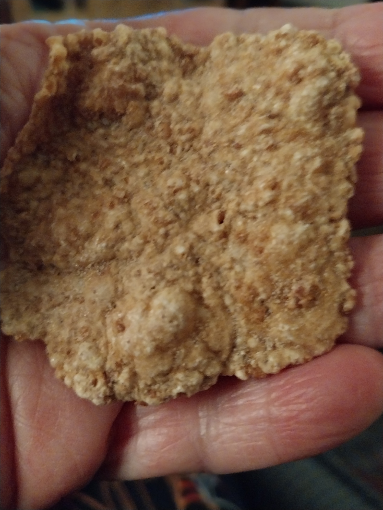 Huge Special K cereal flake.