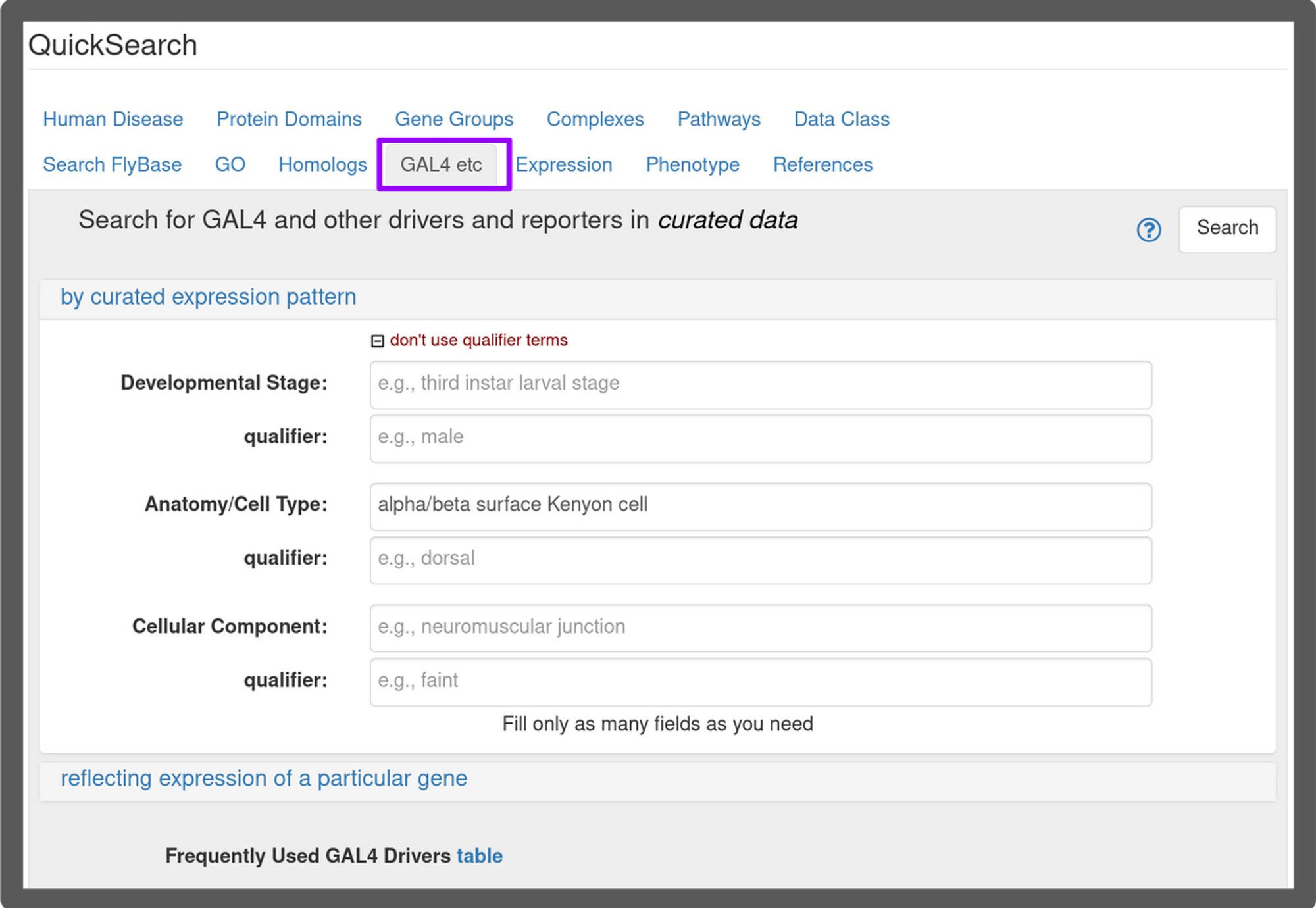 The FlyBase GAL4 etc QuickSearch tab. Only the 'Anatomy/Cell Type' field is filled, with the FlyBase Anatomy Controlled Vocabulary term 'alpha/beta surface Kenyon cell. The tab heading is boxed in purple.