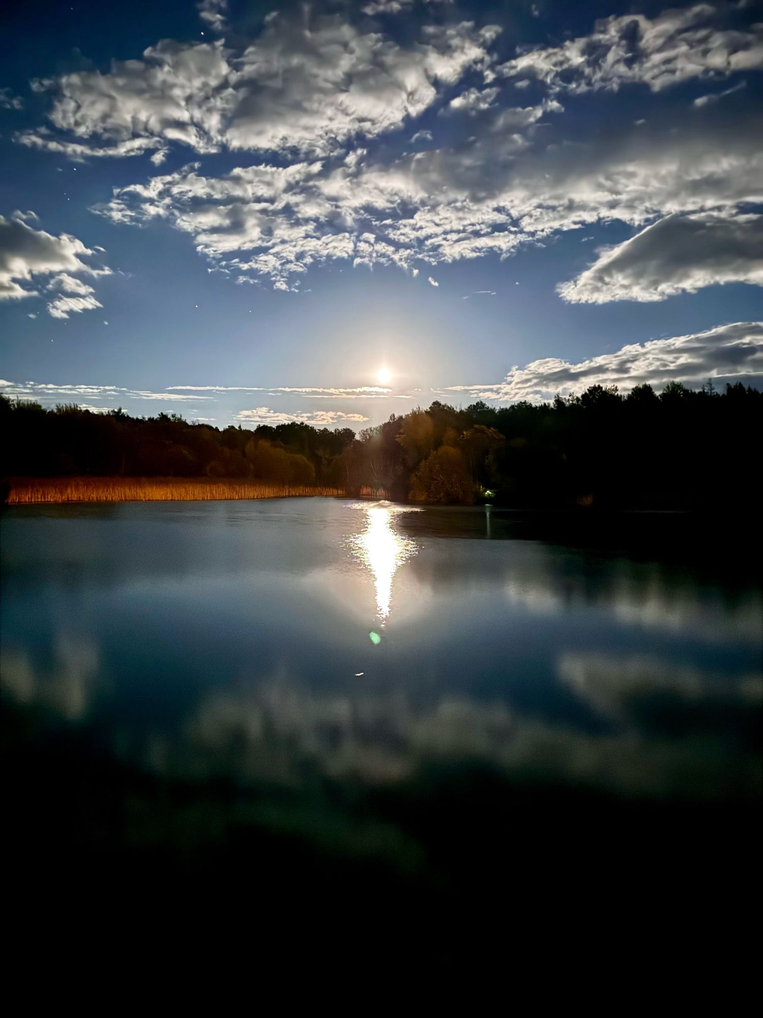 Full moon lighting up, and reflecting off our backyard pond in the country with no other source of light.