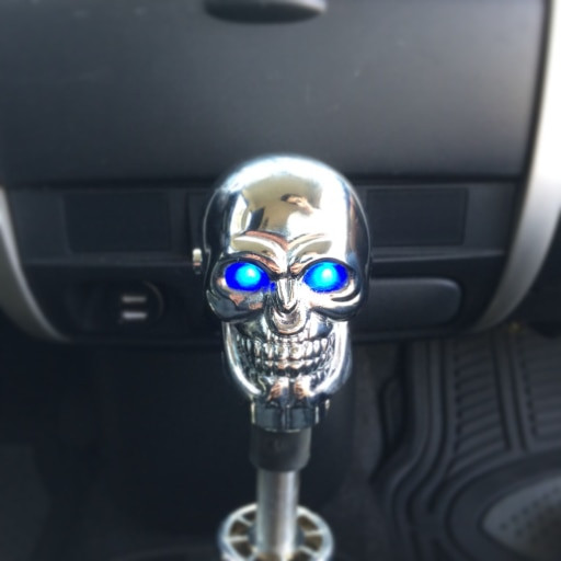 a skull shift knob