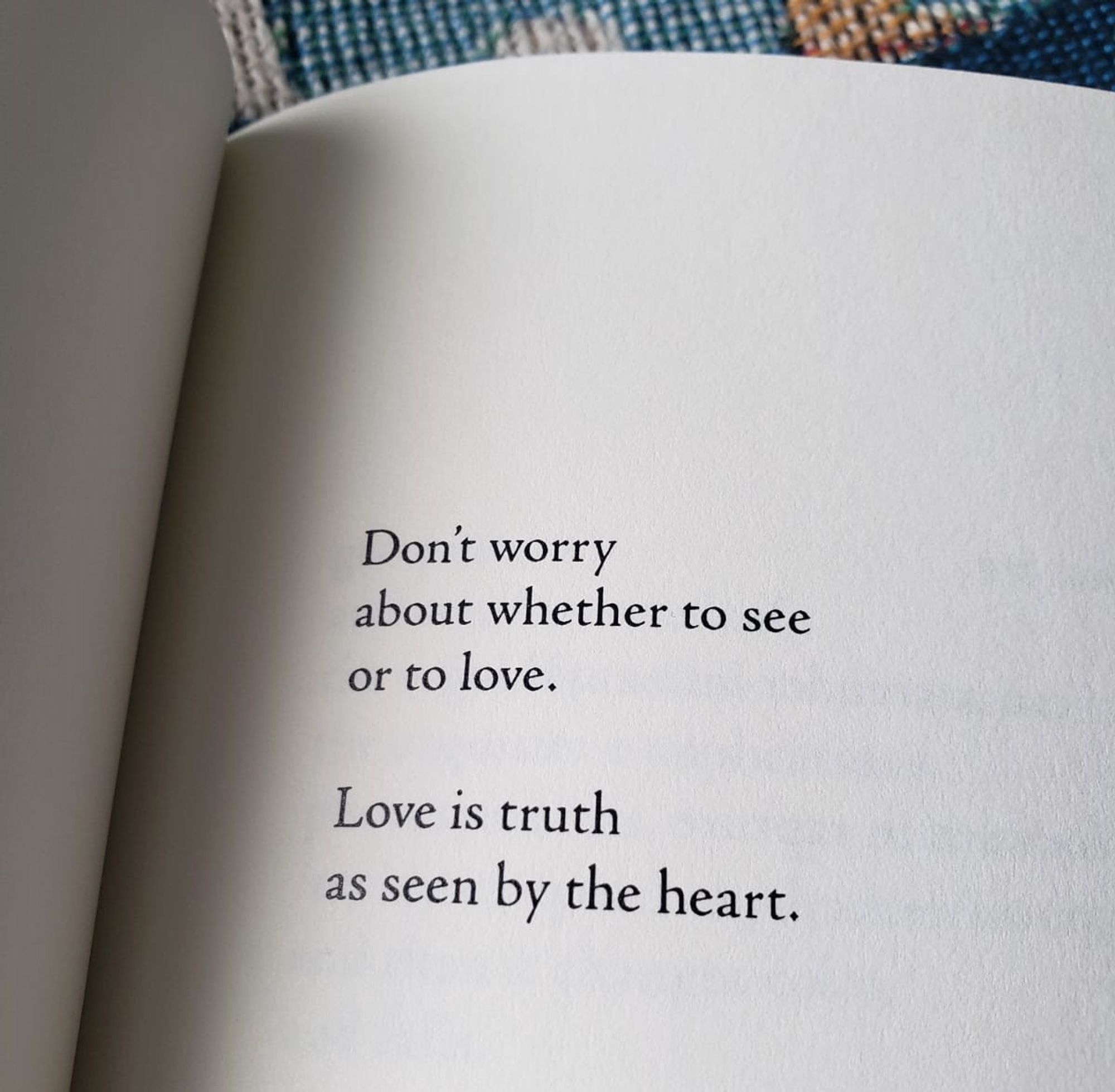 Don’t worry
about whether to see
or to love.
Love is truth
as seen by the heart.