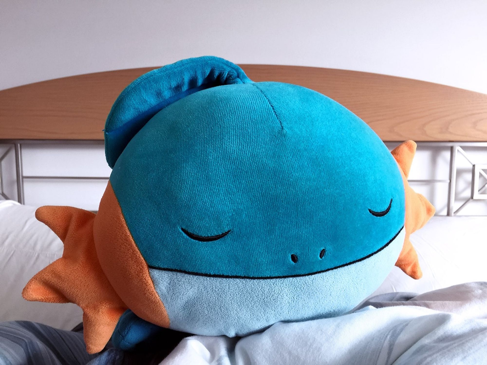 A picture of a sleeping mudkip plush, lying in bed