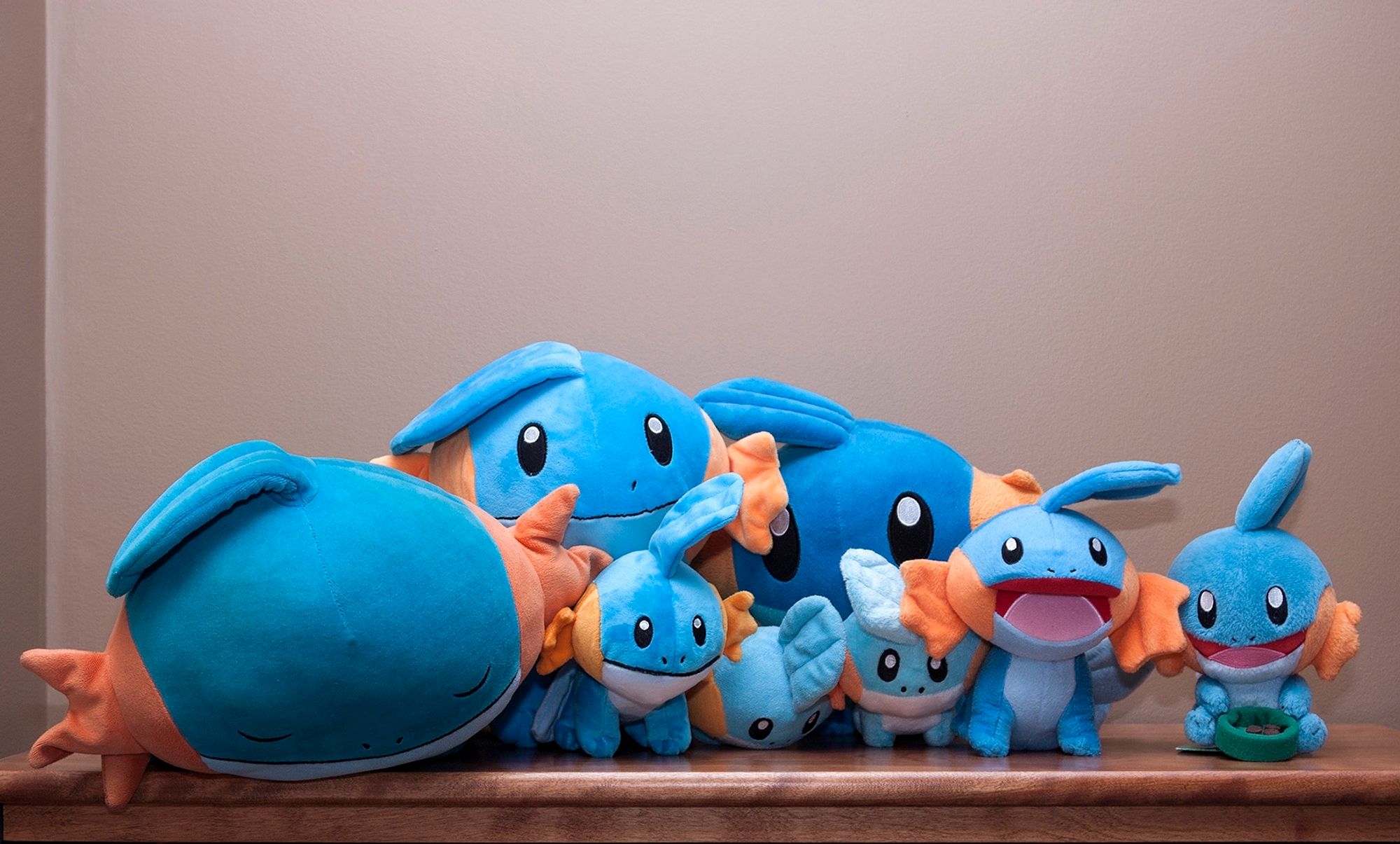 A photo of a collection of various Mudkip plushies, some large some small