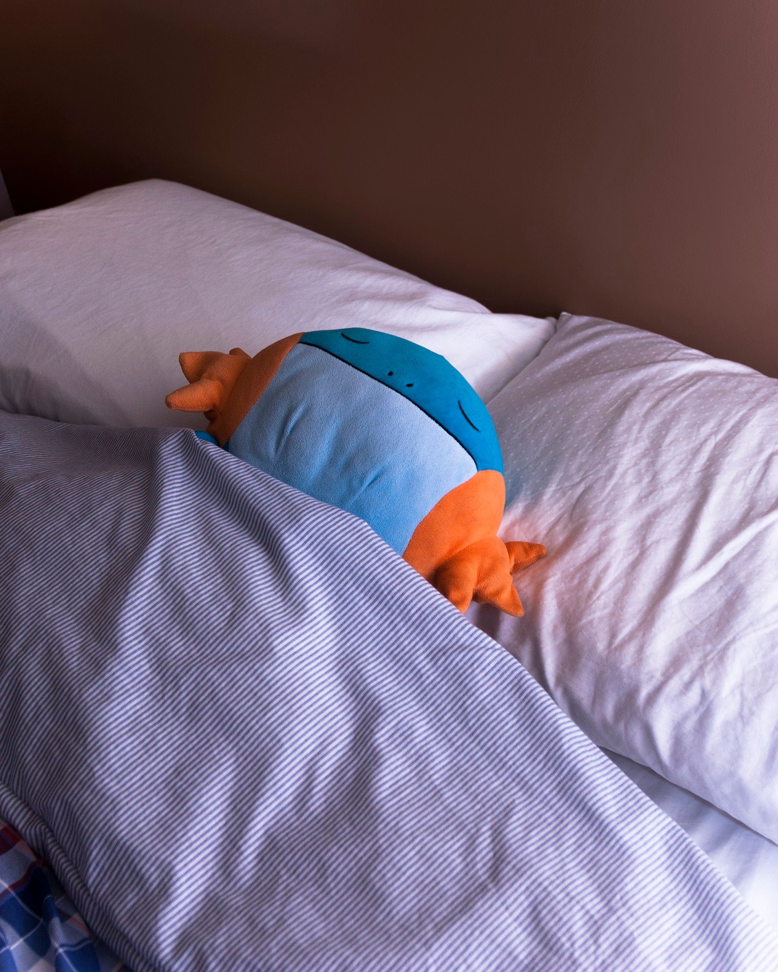 a picture of a sleeping mudkip plush, tucked into bed