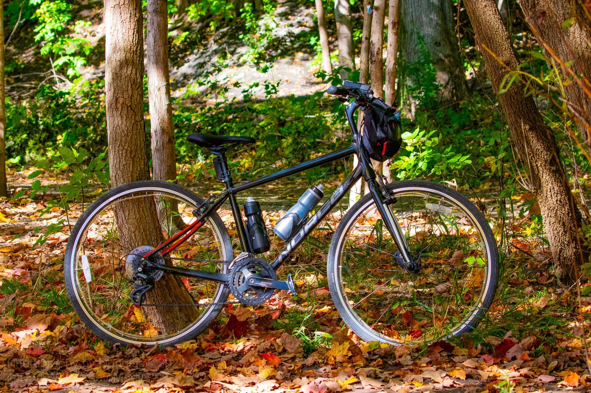 Deep in the Credit River Valley a the Riverwood Conservancy, besides the actual Credit River ... My hybrid Norco VFR sits pretty in the fallen leaves.  October's one of my favourite times to ride and make urban wildlife photos.