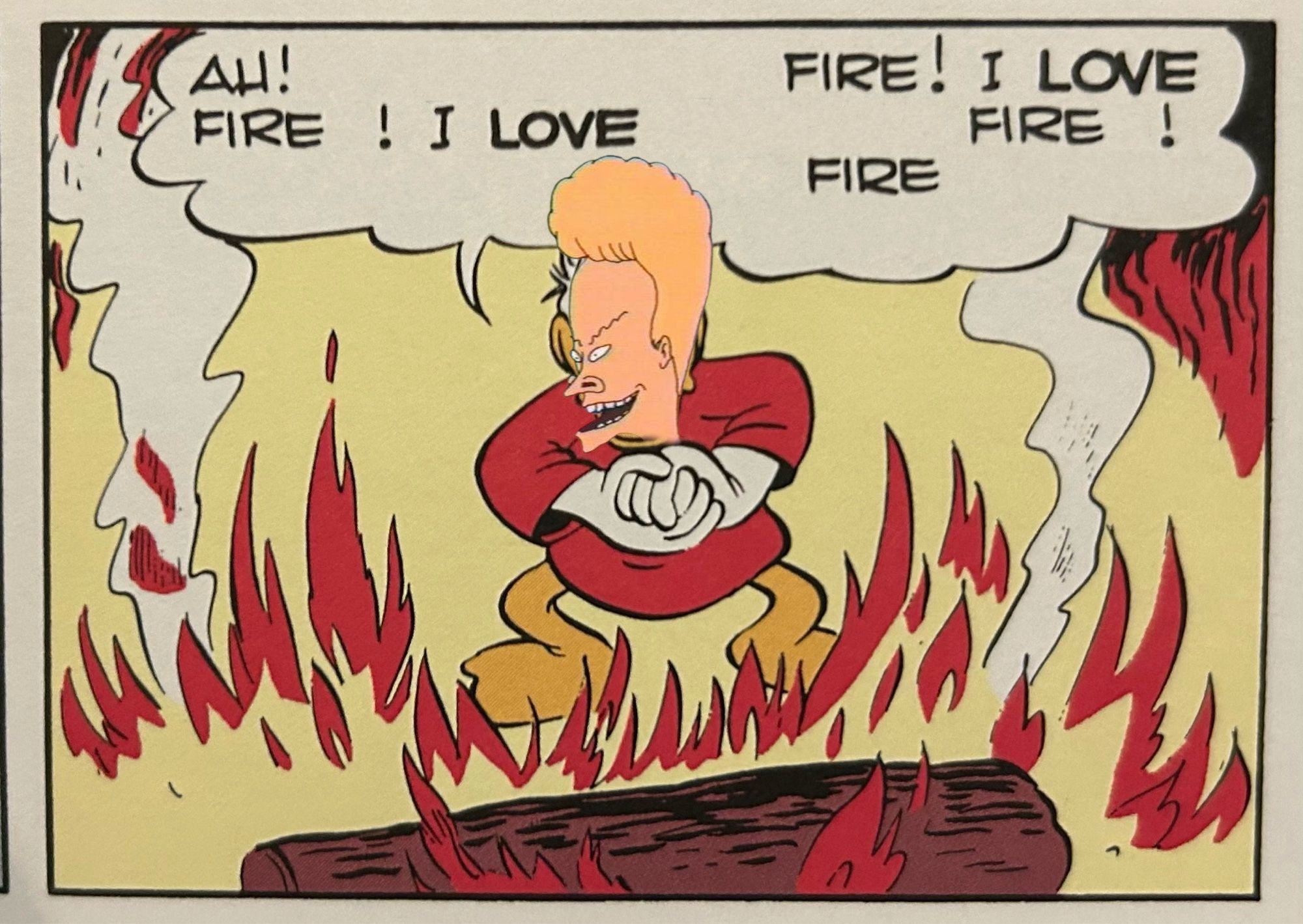 beavis: Ah! Fire! I love fire! I love fire! fire