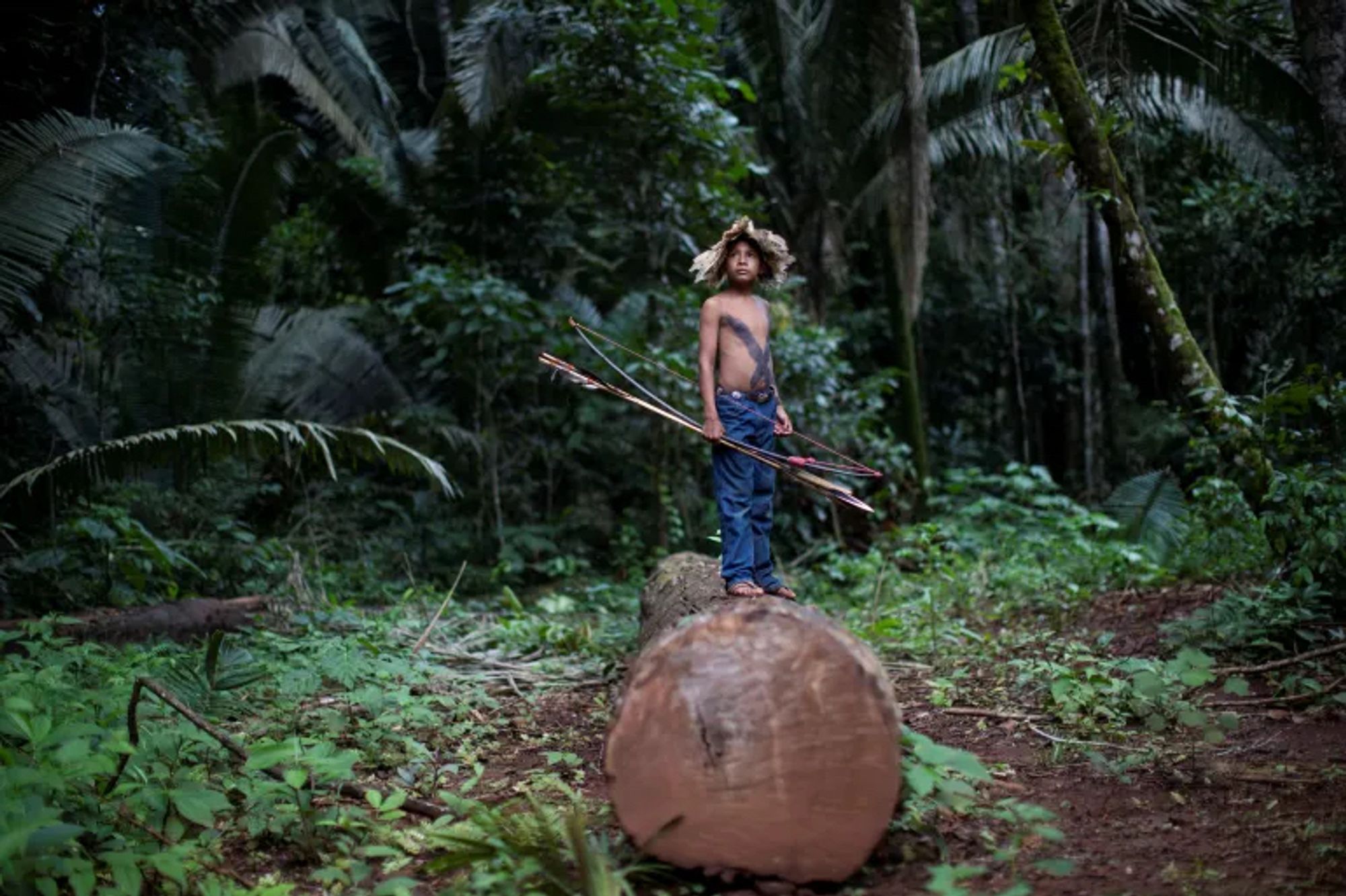 A warrior child from the Uru-eu-wau-wau tribe tries to defend an area deforested by invaders, within the Uru-eu-wau-wau Indigenous Reservation near Campo Novo de Rondonia, Brazil, January 30, 2019 [Photo by Ueslei Marcelino/Reuters]