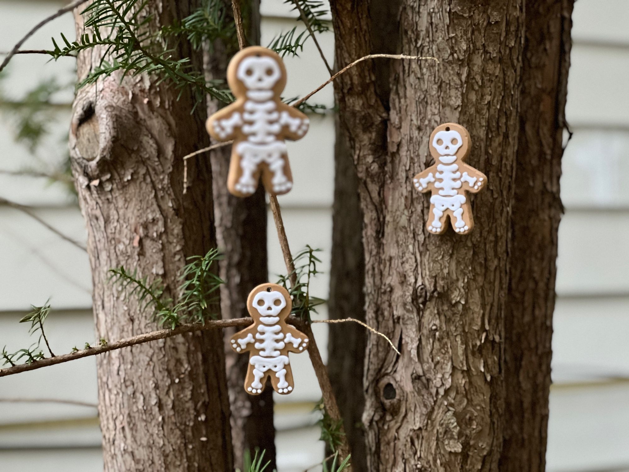 Gingerbread skeleton cookie ornaments hanging from a tree