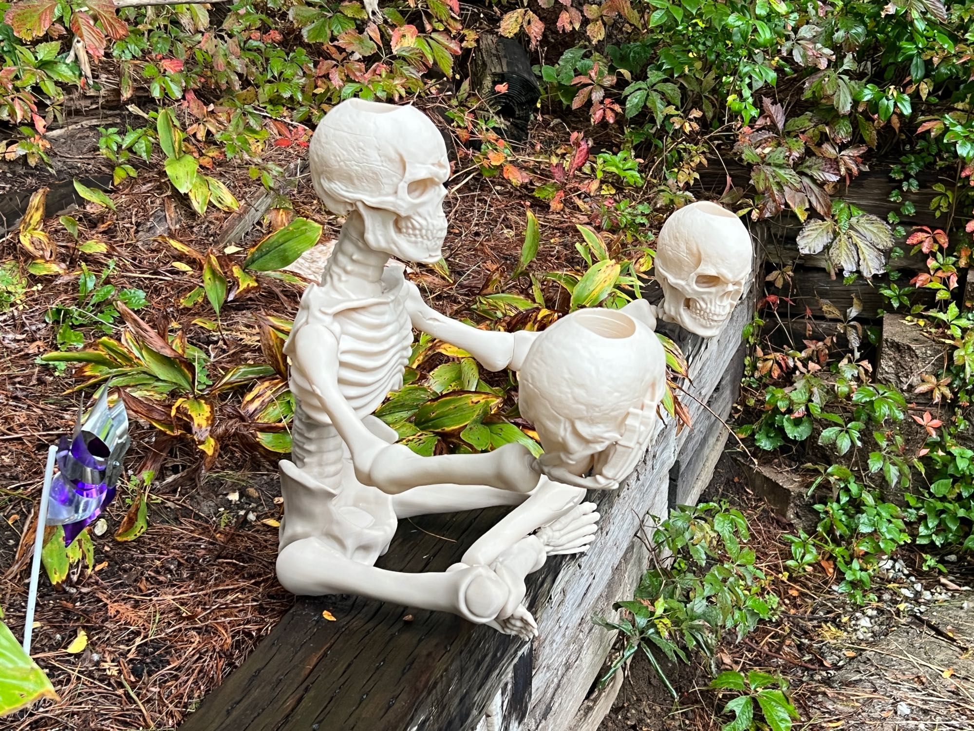 Skeleton holding skulls from the side