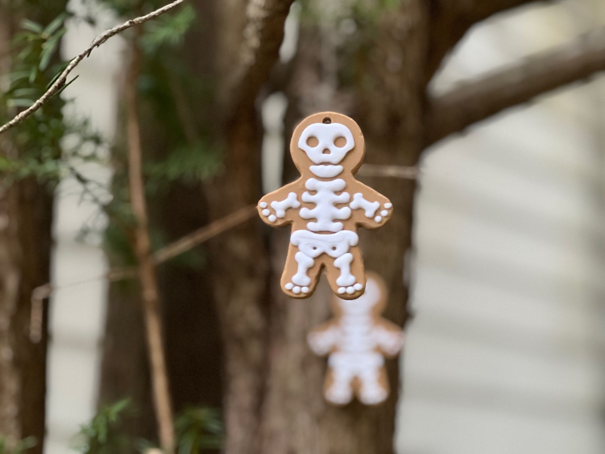 Gingerbread skeleton cookie ornaments hanging from a tree