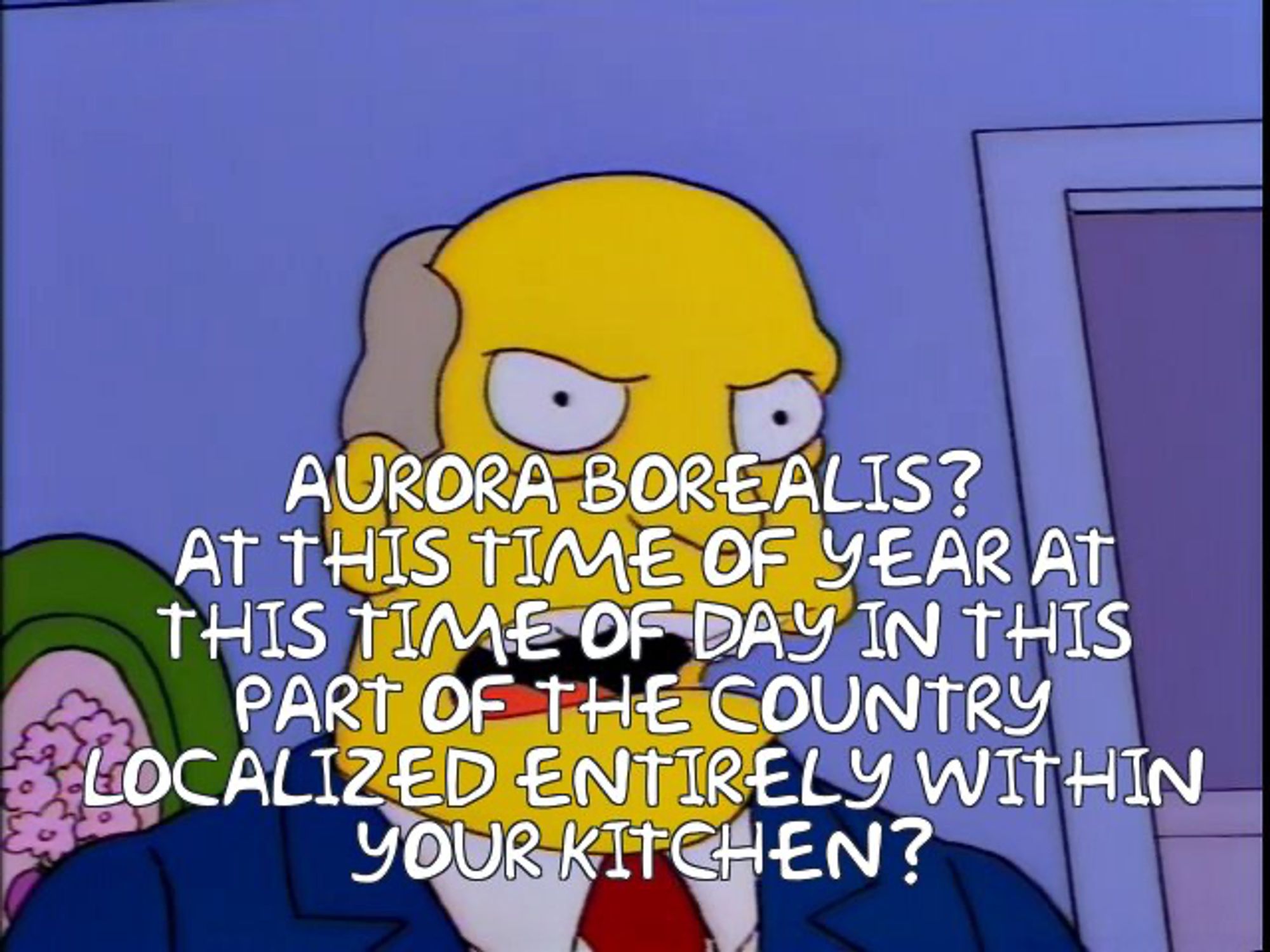 AURORA BOREALIS?
 AT THIS TIME OF YEAR AT
 THIS TIME OF DAY IN THIS
 PART OF THE COUNTRY
 LOCALIZED ENTIRELY WITHIN
 YOURKITCHEN?