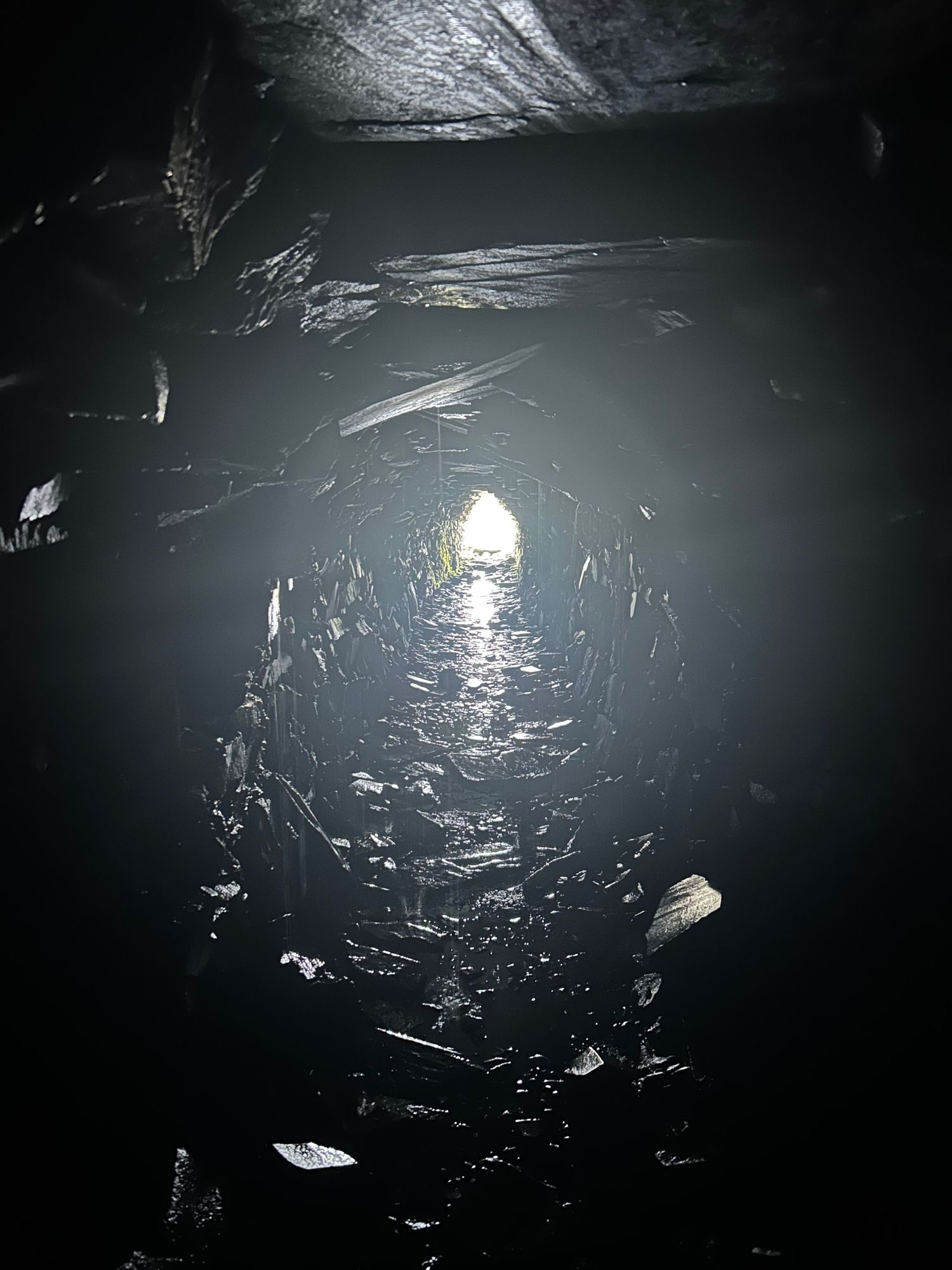 What appeared to be an old mining (or quarry) tunnel.