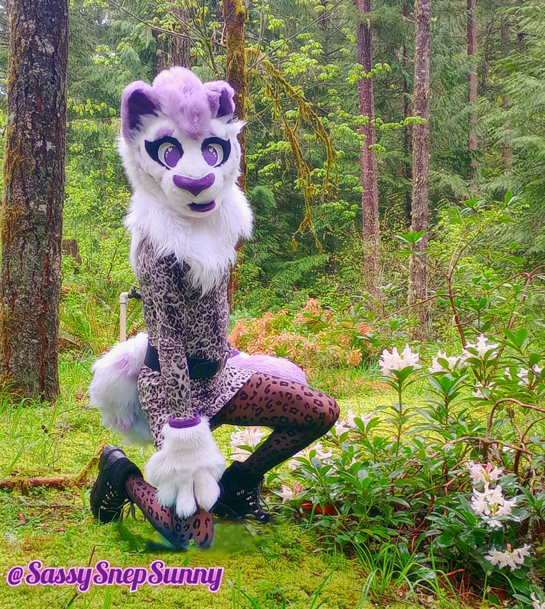 Purple spotted snep kneeling next to a white rhodie bush in the forest