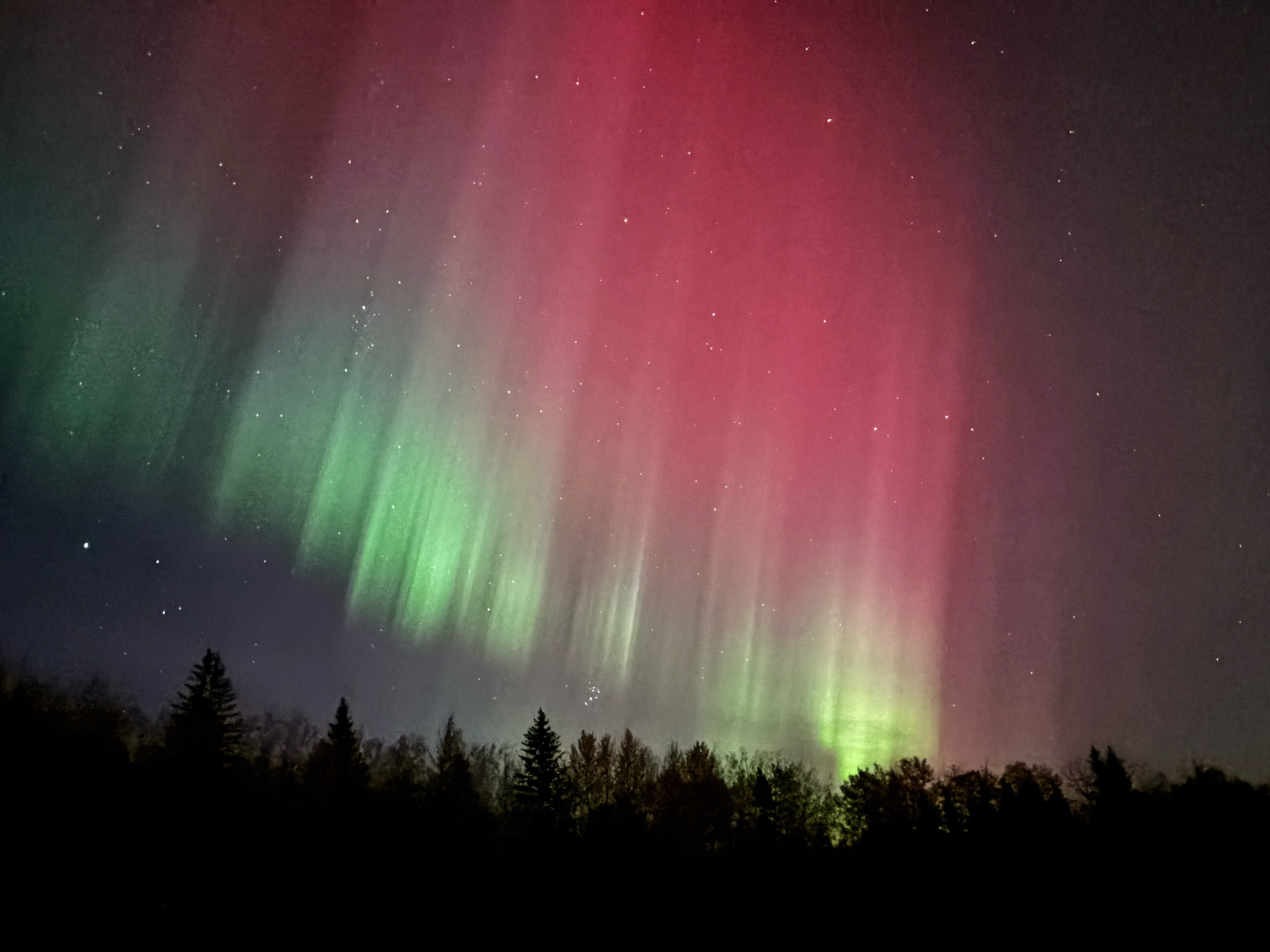 a view of the northern lights from Elk Island National Park in Alberta, Canada. There is lots of red and green in the aurora.