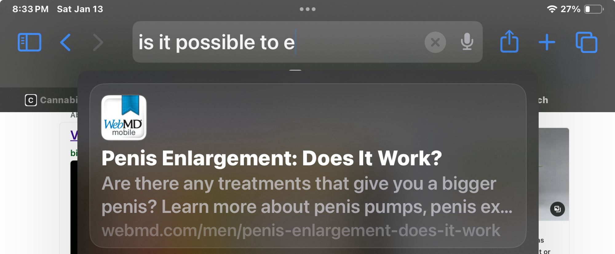 Google suggesting a penisenlargement article