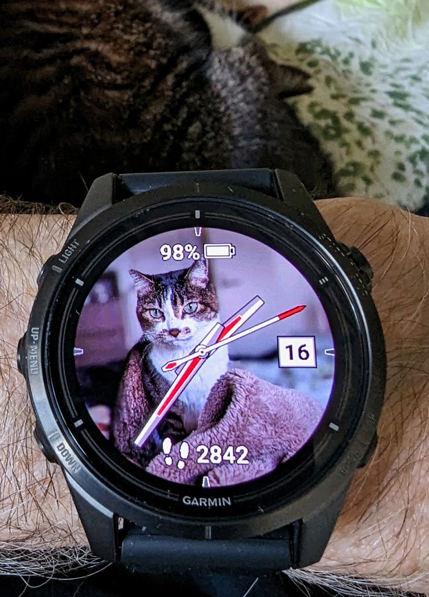 A Garmin Epix watch with a cat photo.