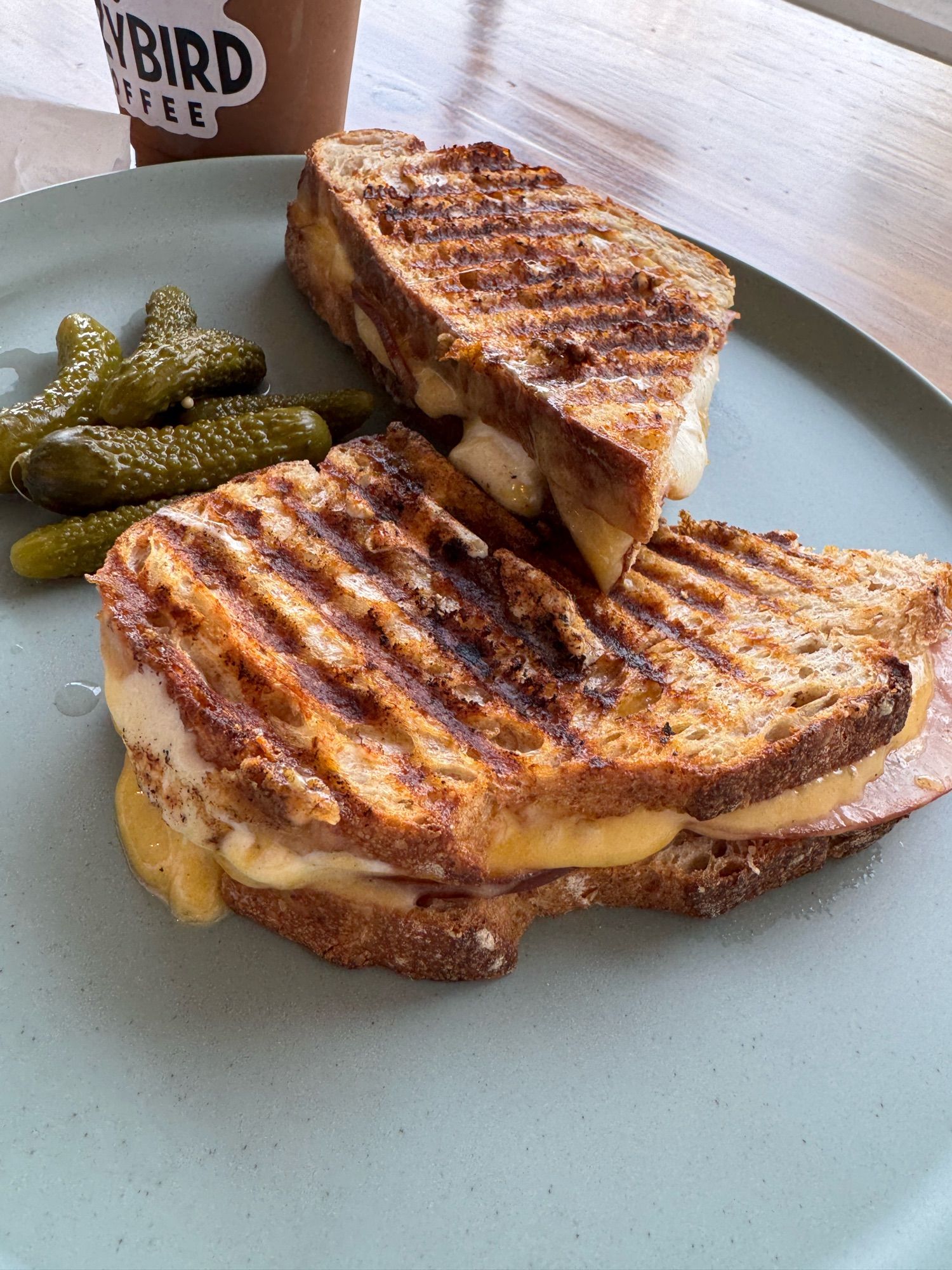 mmmm griddled cheese panini, with sourdough bread, cheese, ham, and pickles on the side