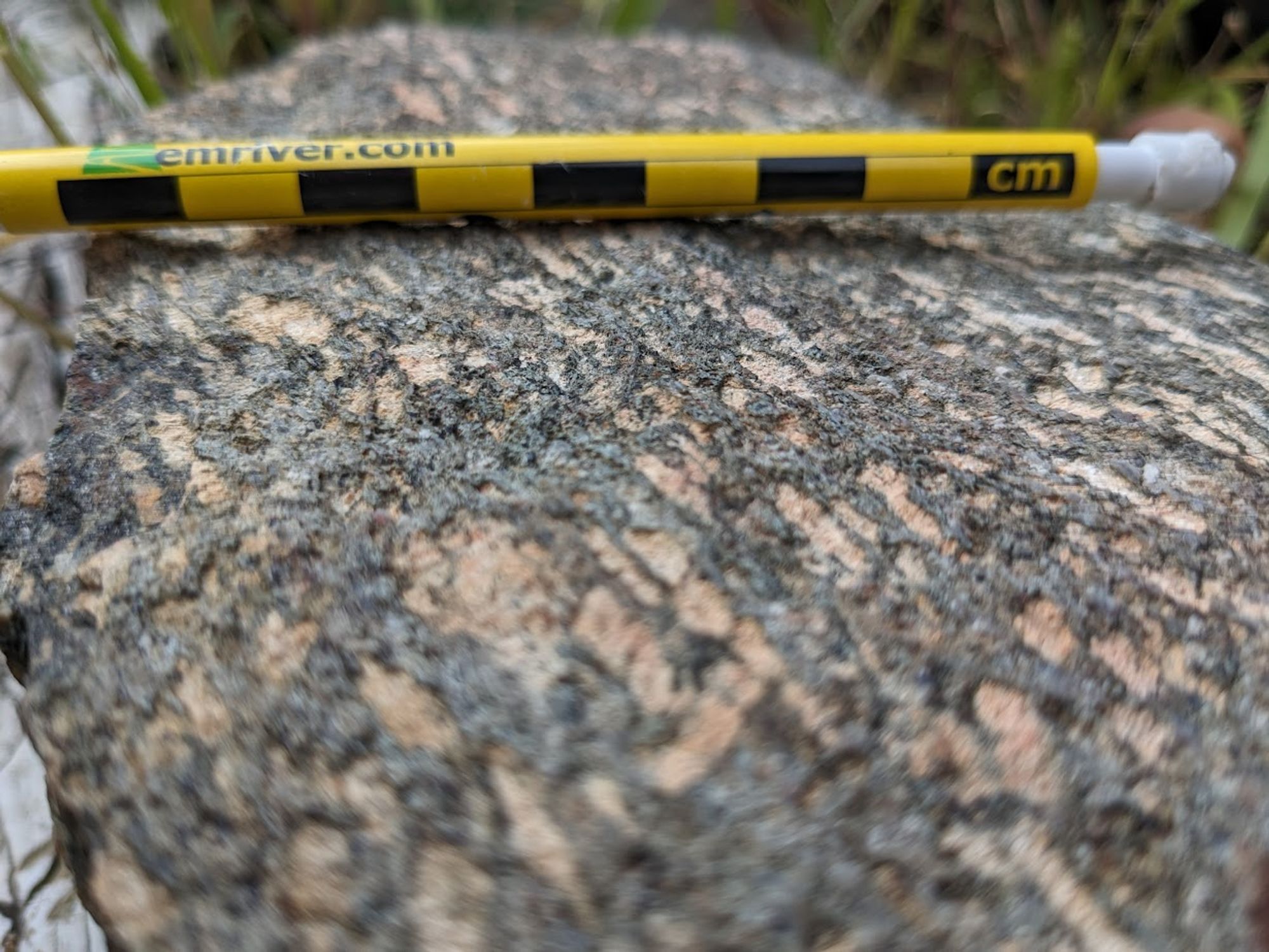 Oblique photograph of a rock surface, where in the middle distance shallow pits can be seen to be centered on the elongated peach-colored feldspars. A pencil serves as a sense of scale.