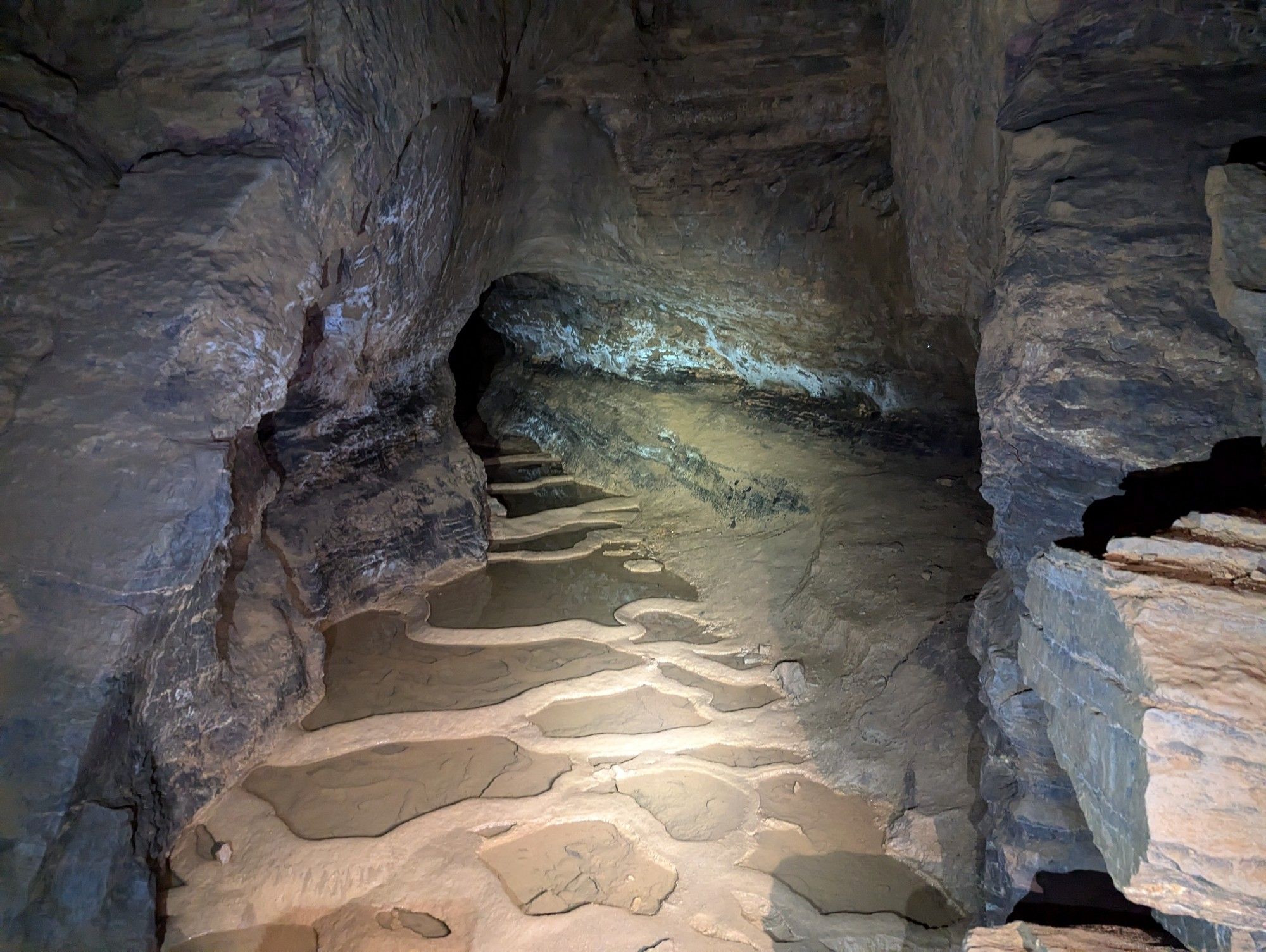 Mud-colored rimstone pools flooring a section of cave passage.