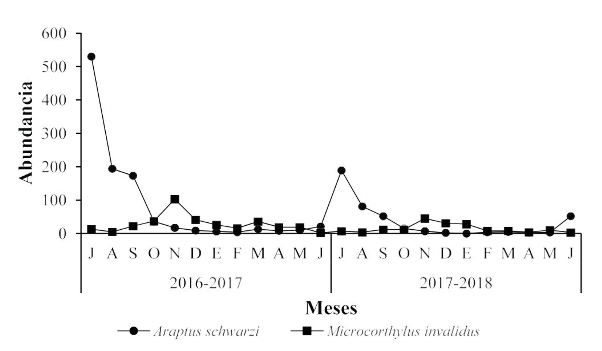 Figure 4. Population fluctuation of the species Araptus schwarzi and Microcortylus invalidus, in a Persea Americana Mill. var orchard. Hass “La Piedra China”, municipality of Uruapan, Michoacán.