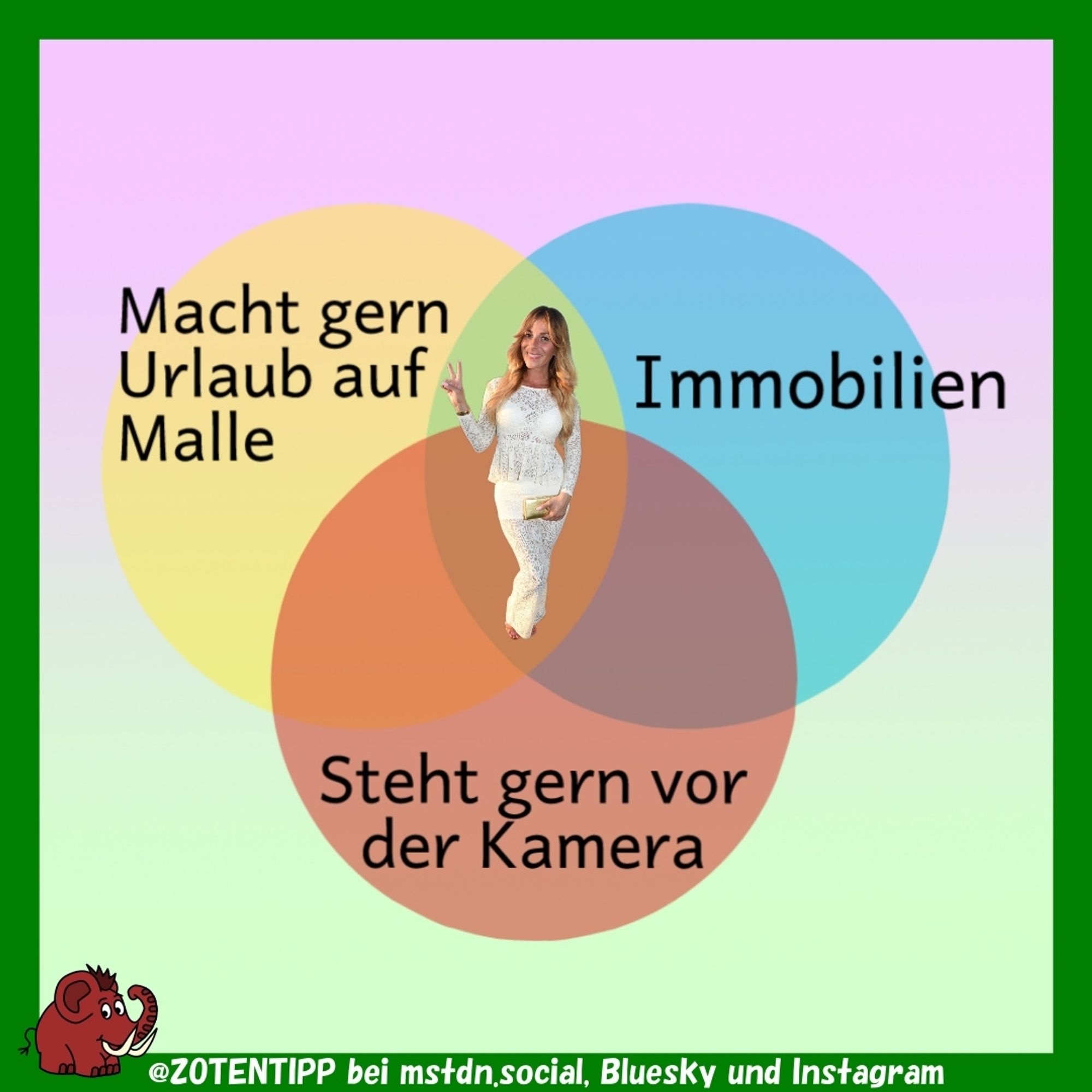 Drei sich überlappende Kreise in einem Venn-Diagramm in Dreiecksanordnung, zwei oben, einer mittig darunter. Oben links ist markiert als "Macht gern Urlaub auf Malle." Oben rechts: "Immobilien." Unten: "Steht gern vor der Kamera." In der Mitte steht ein Foto von Gülcan Kamps.