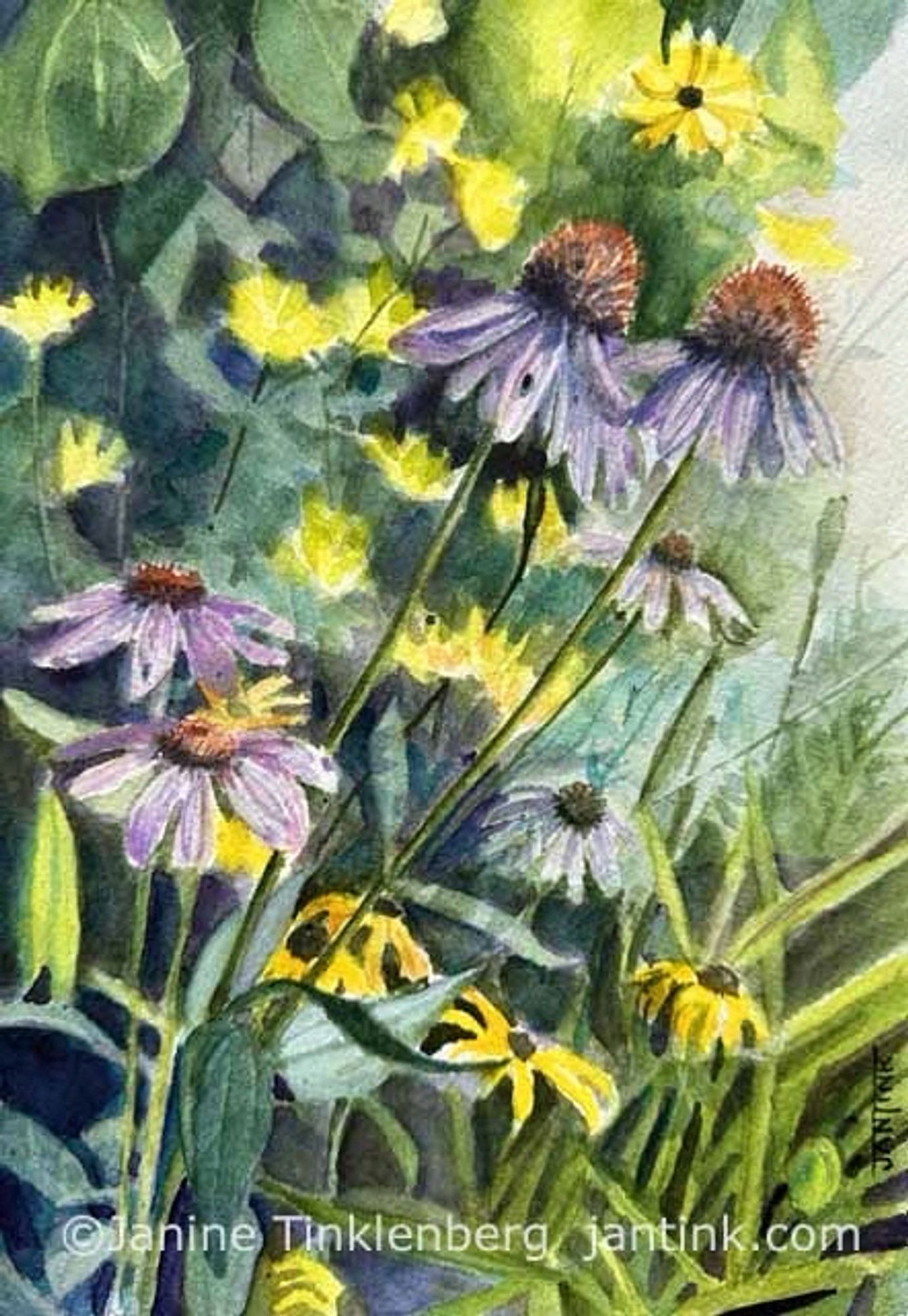 Watercolor painting of echinacea and black-eyed susan flowers.