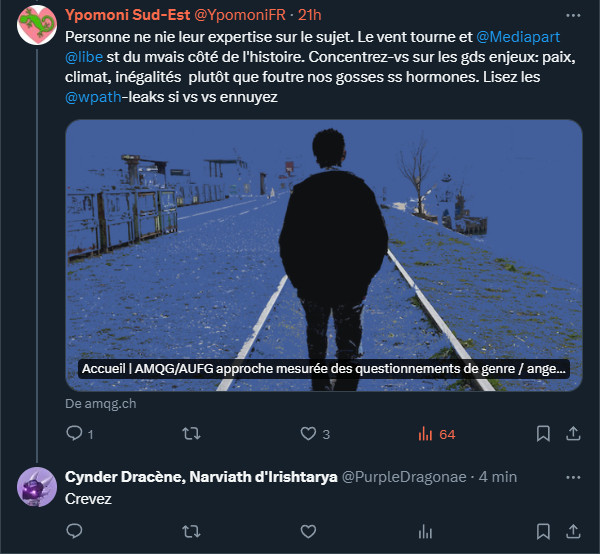 Screen de mon commentaire "Crevez" face à un post du groupuscule transphobe Ypomoni Sud-Est dans lequel iels attaquent Mediapart et Libération en partageant un lien vers de la désinformation.