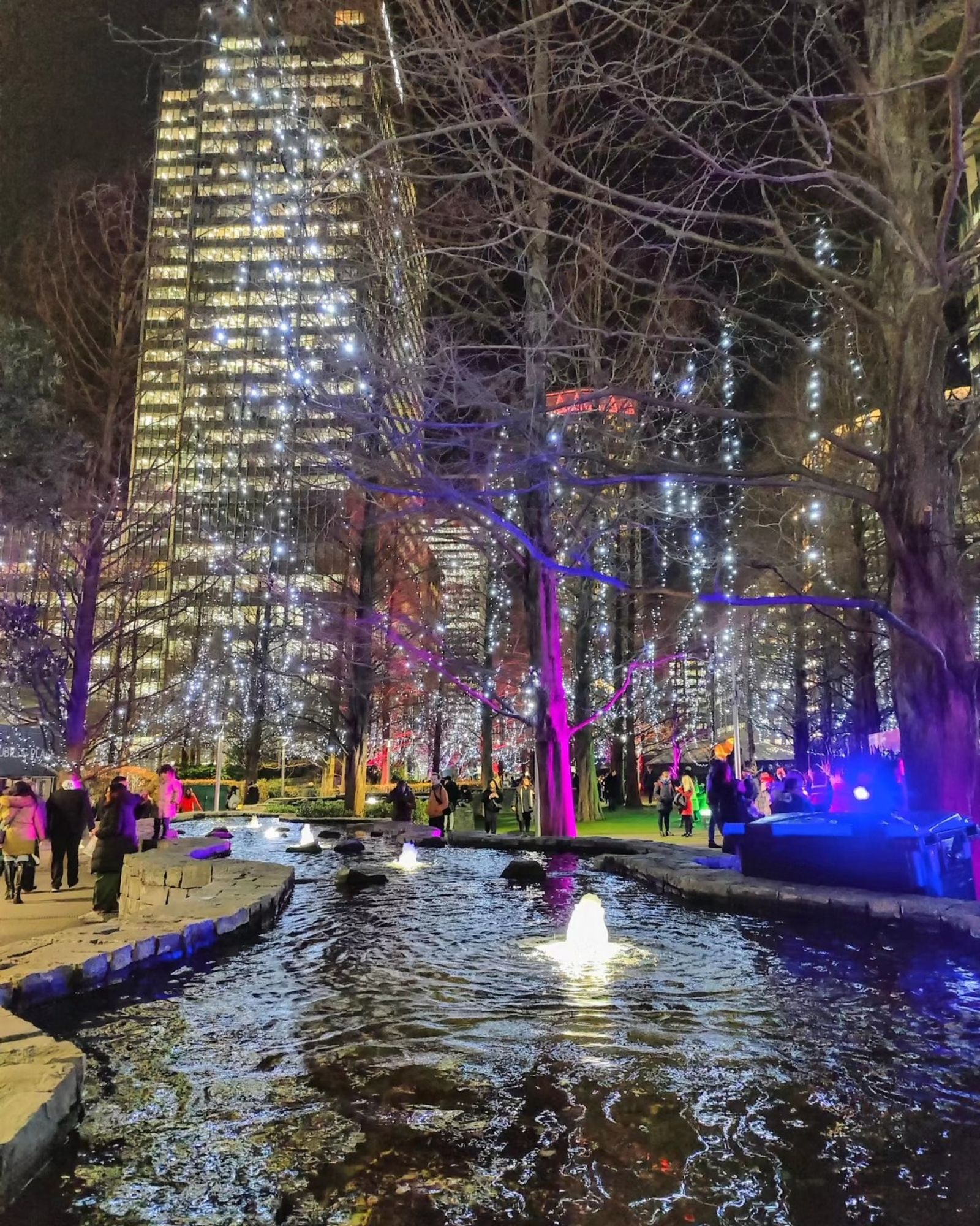 Illuminated fountains with coloured lights on trees and a lit up skyscraper in the background