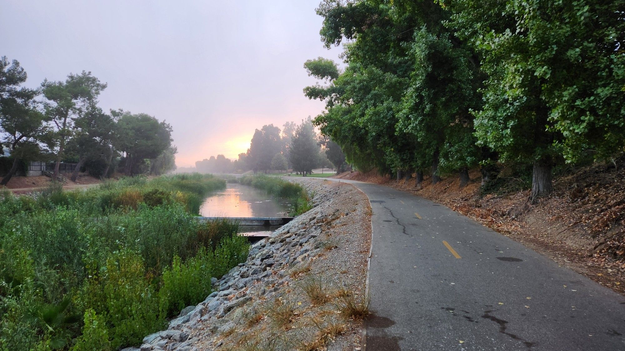 Sunrise over the mixed use path, with golden sunlight reflecting off of the water. Hazy marine layer hangs in the sky. Water plants line the arroyo, and trees line the paths on either side of the waterway.