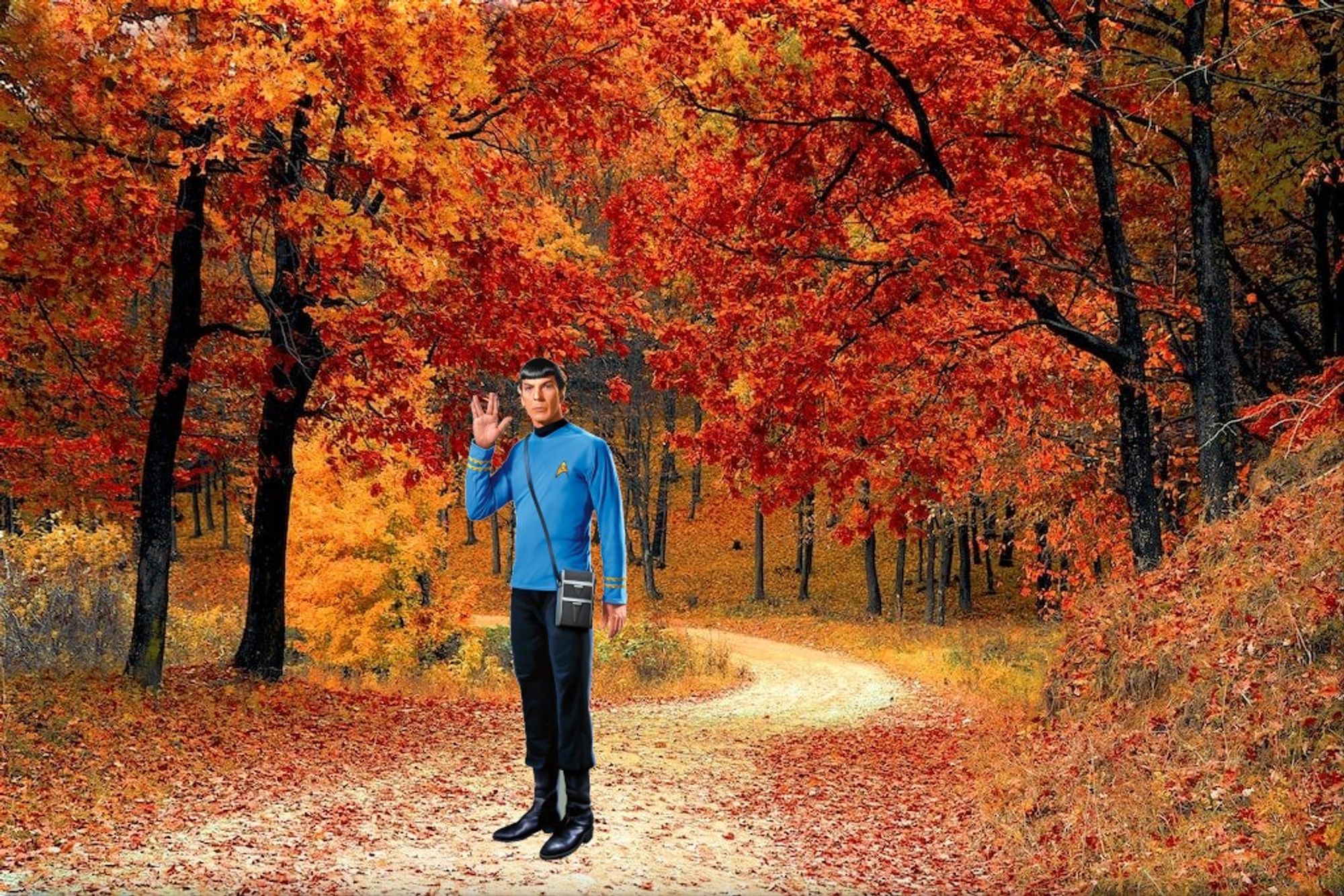 Herbstlicher Waldweg mit leuchtend gelb-rotem Herbstlaub. Auf dem Waldweg Spock-Figur eingefügt mit seiner typischen Uniform, Tricorder und vulkanischem Gruß.