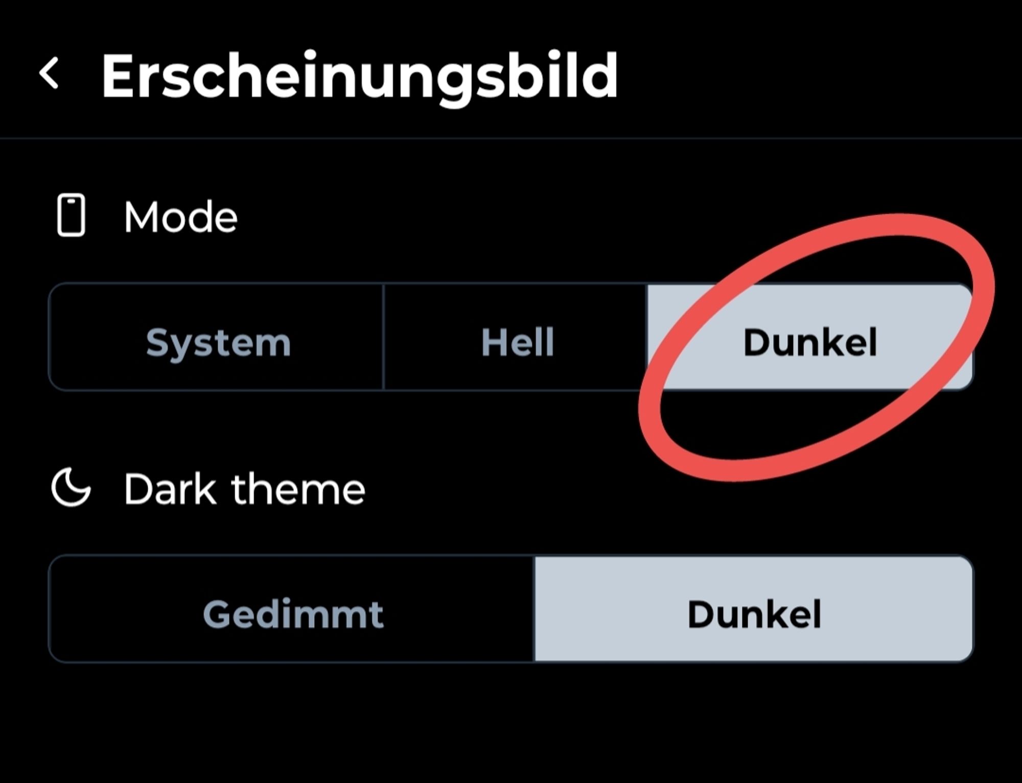 Screenshot von Bluesky. Einstellungen des Erscheinungsbild auf "Dunkel" als Standard.