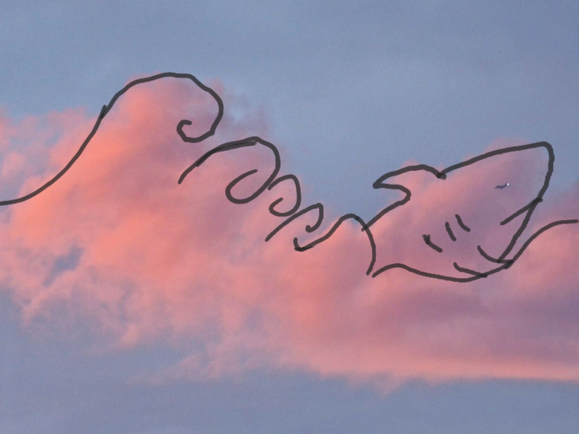 Dessin d'un requin jaillissant des vagues sur un nuage rose orangé de fin de journée