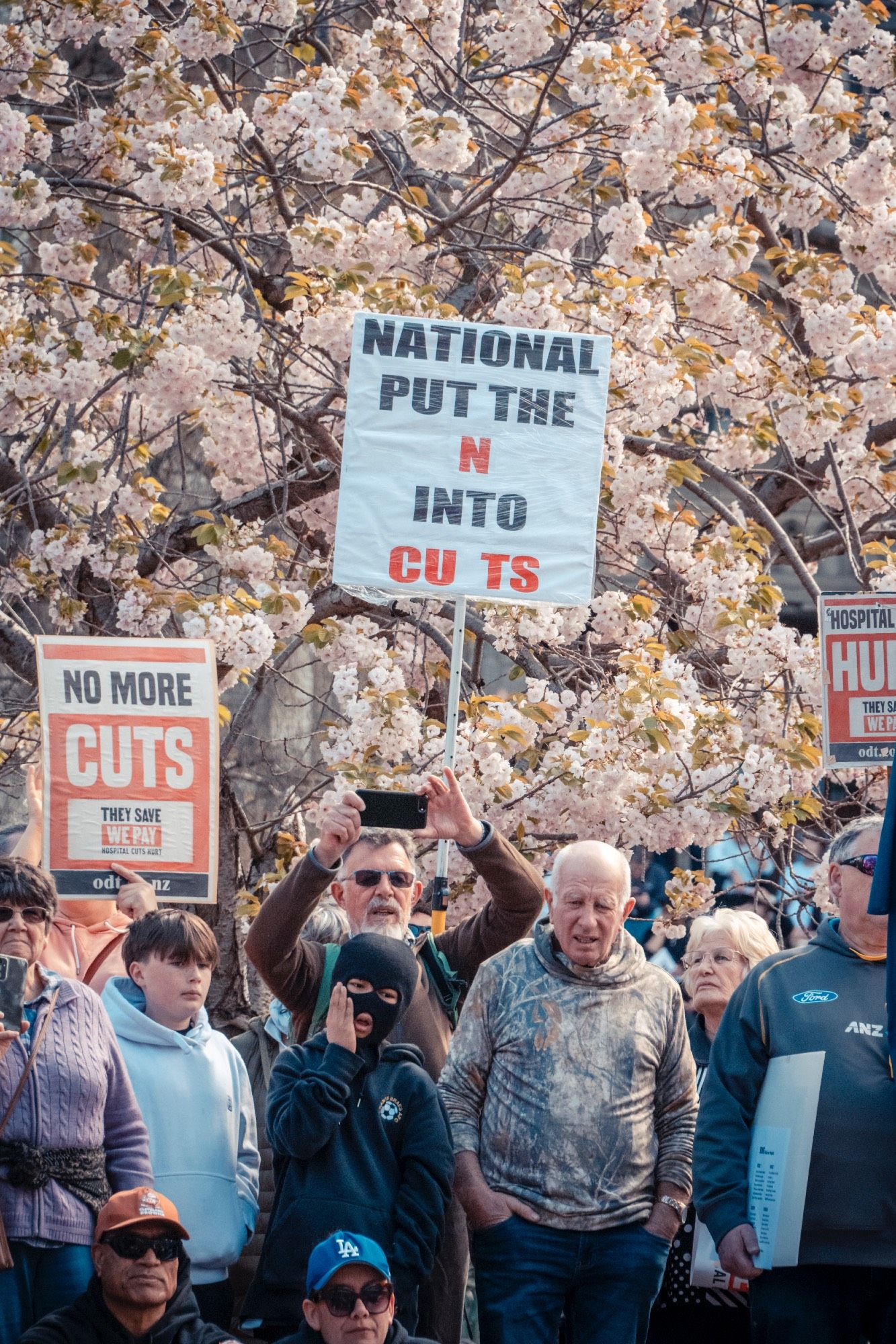 Pretty scene of protestors in front of magnificent blossom with sign saying 'National Put the N into Cu ts'