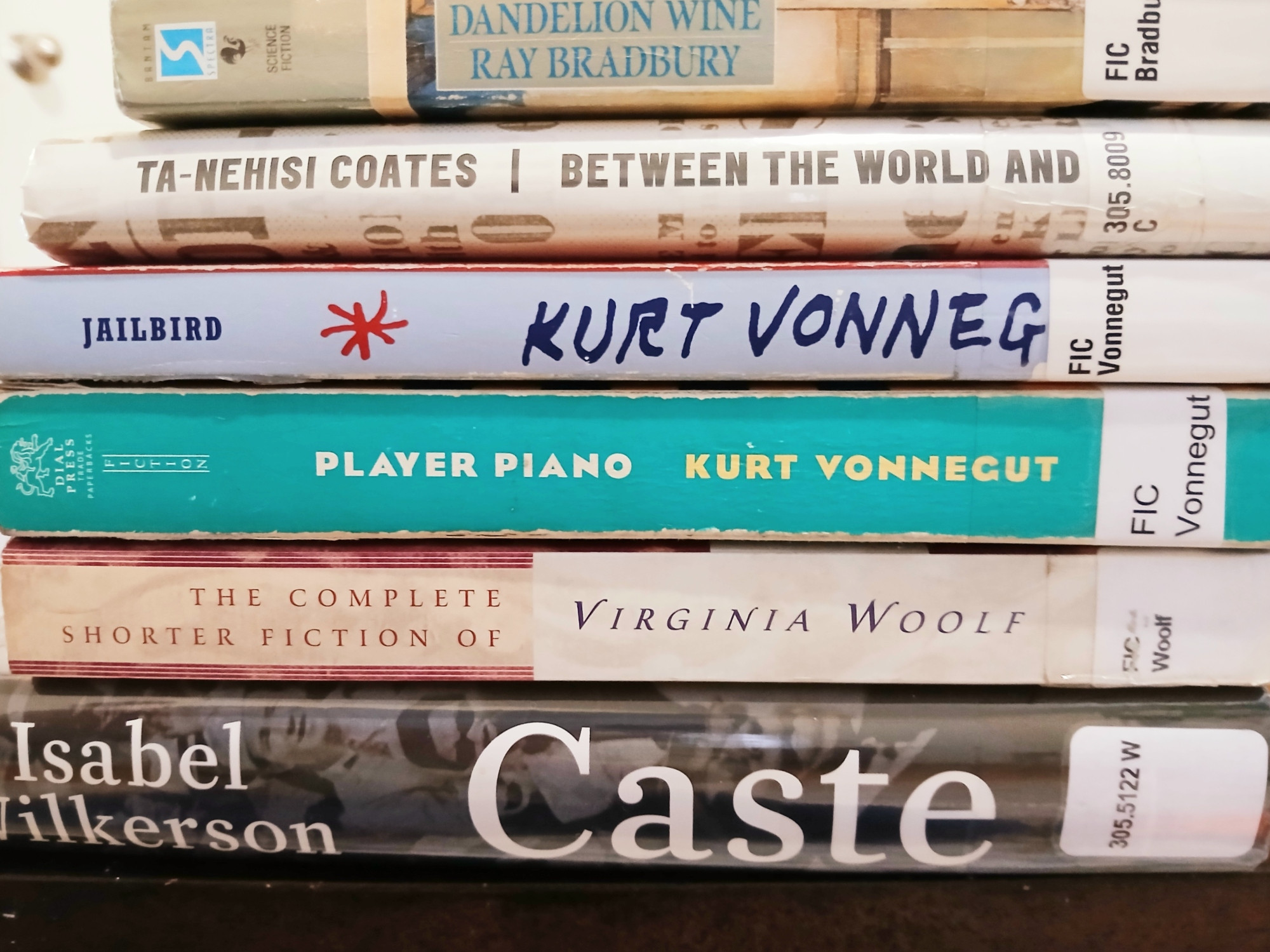 Photo of books from the Queens Public Library, treasures for free.