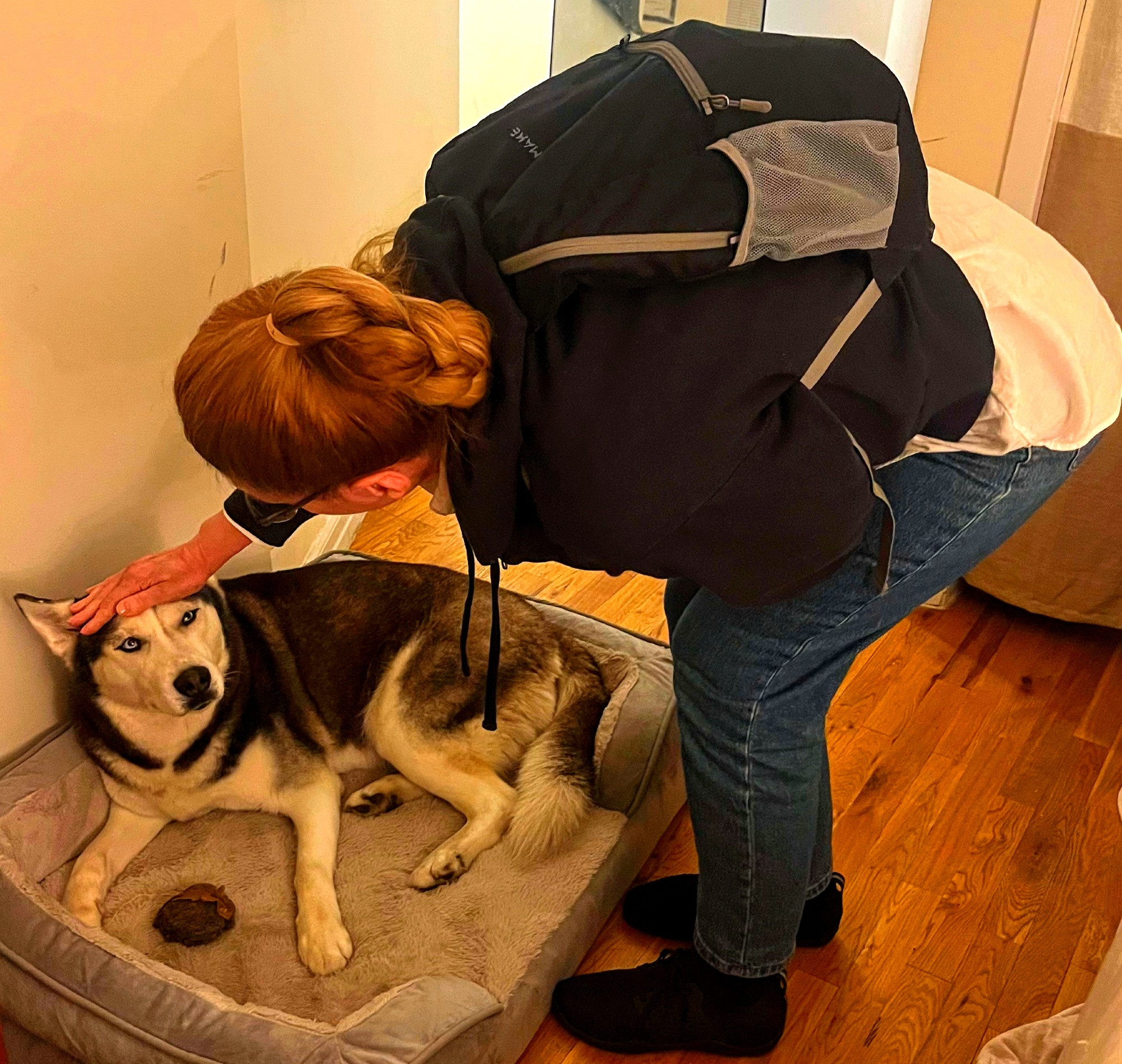 Adopted Siberian Husky on International Dog Day with author J.J. Brown.