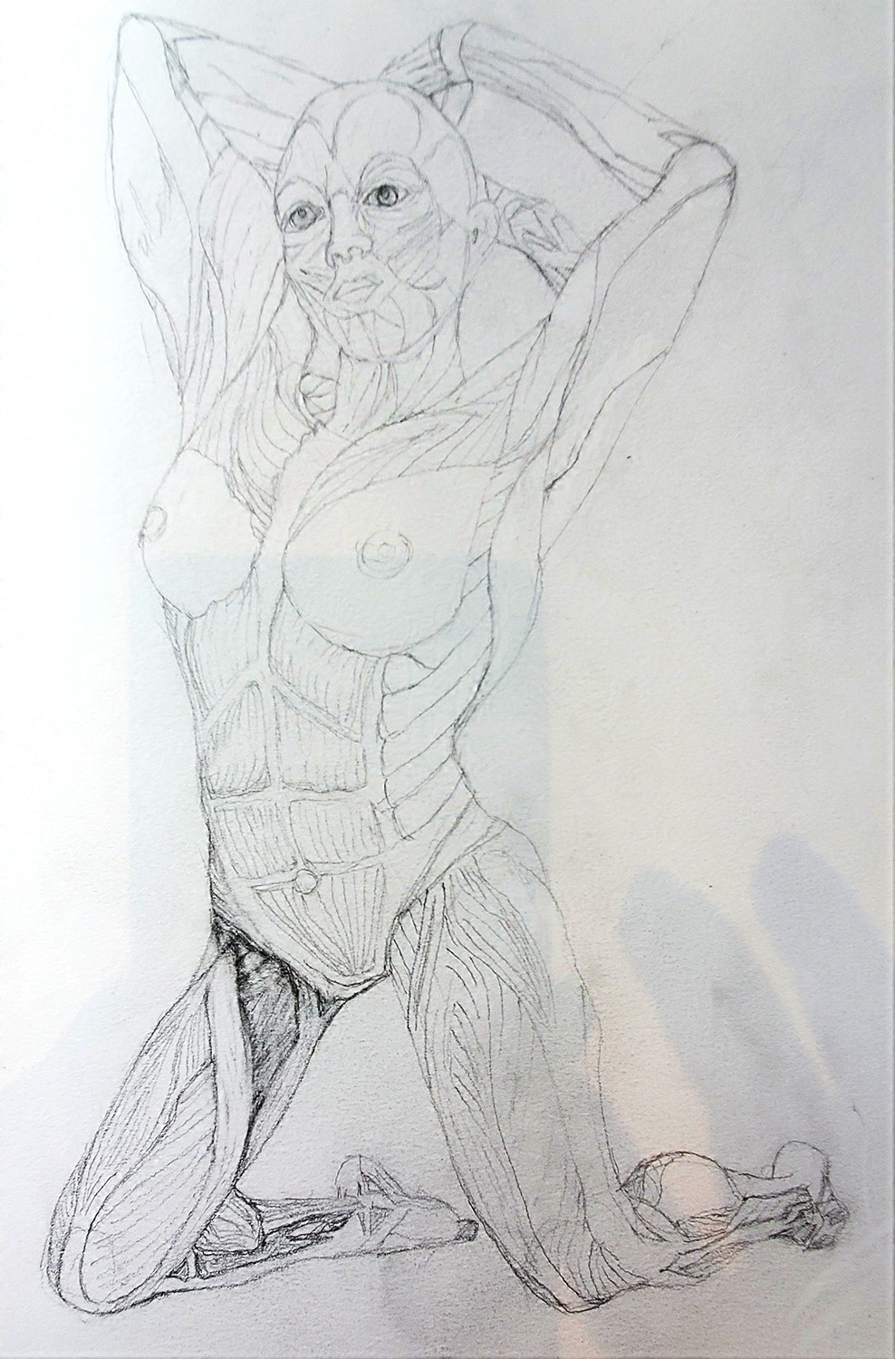How it finished. Anatomy figure study of kneeling woman.  HB pencil on paper. 