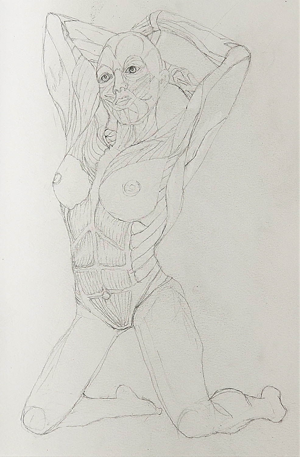 How it started. Anatomy figure study of kneeling woman.  HB pencil on paper. 