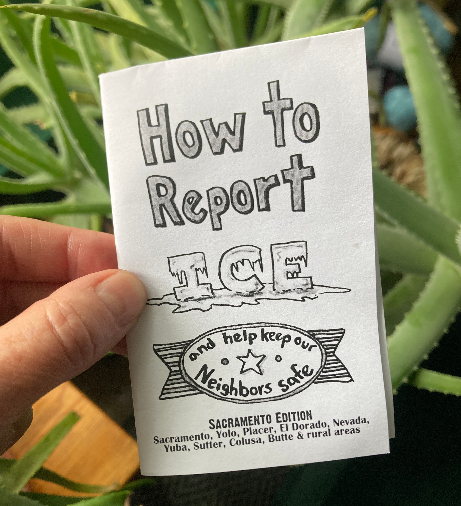 Hand holding small black and white hand lettered zine titled "How to Report ICE and Help Keep Our Neighbors Safe"