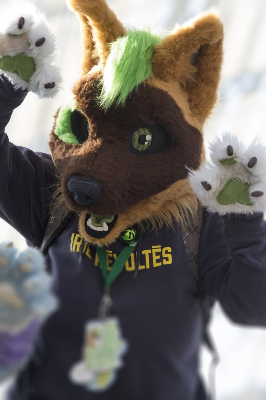 A human wearing a mini partial fursuit.