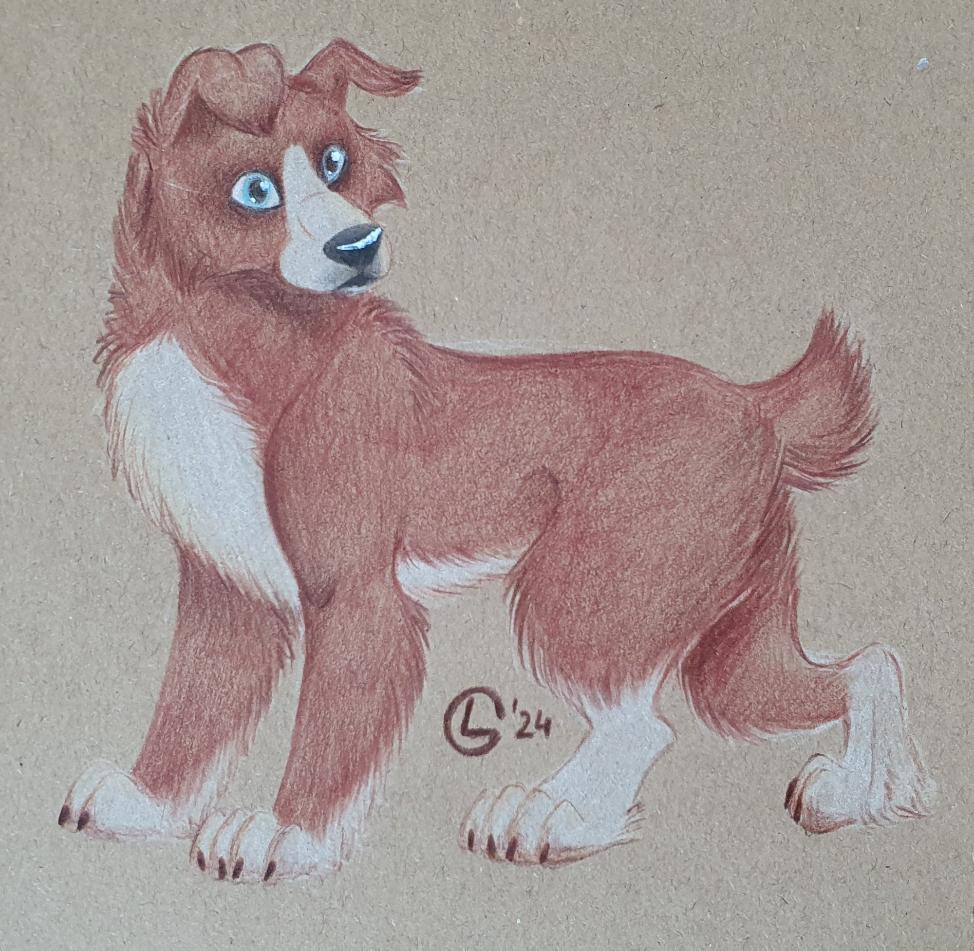 A red and white border collie with blue eyes drawn on brown paper